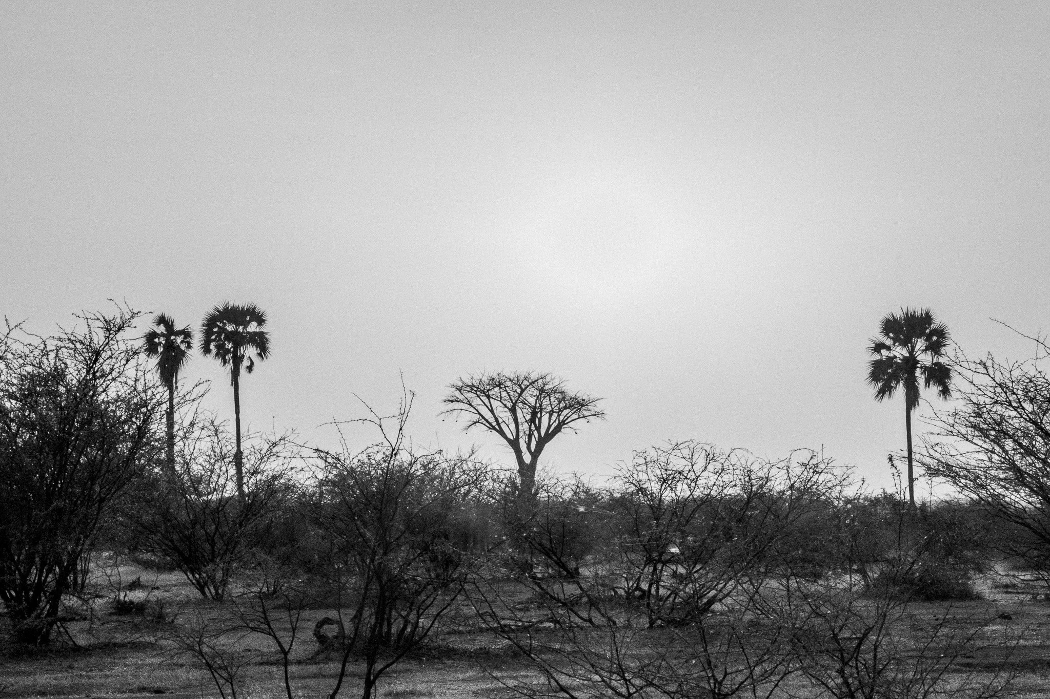 27. P.N.Makgadikgadi 4.jpg