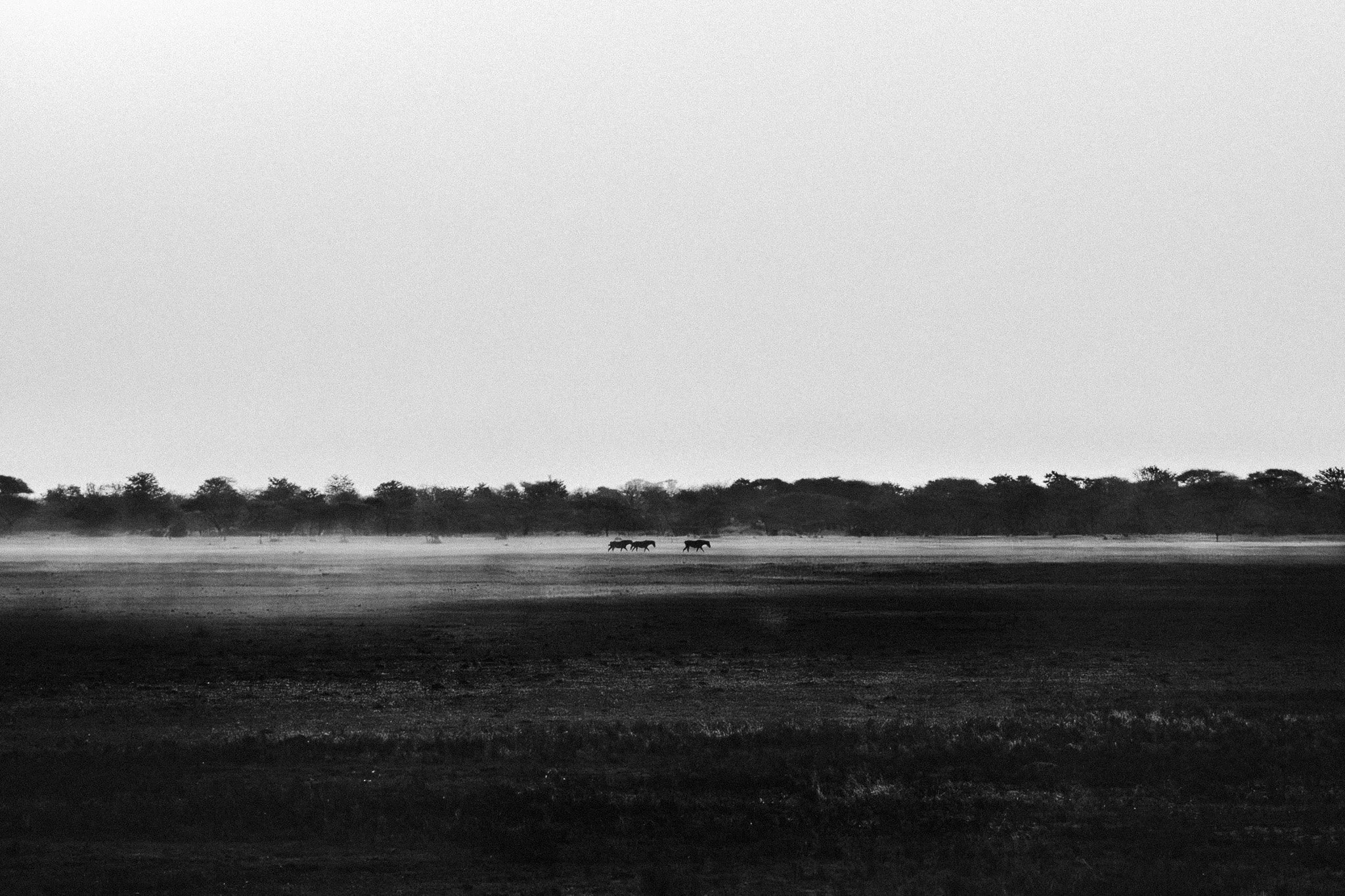 20.P.N.Makgadikgadi.jpg