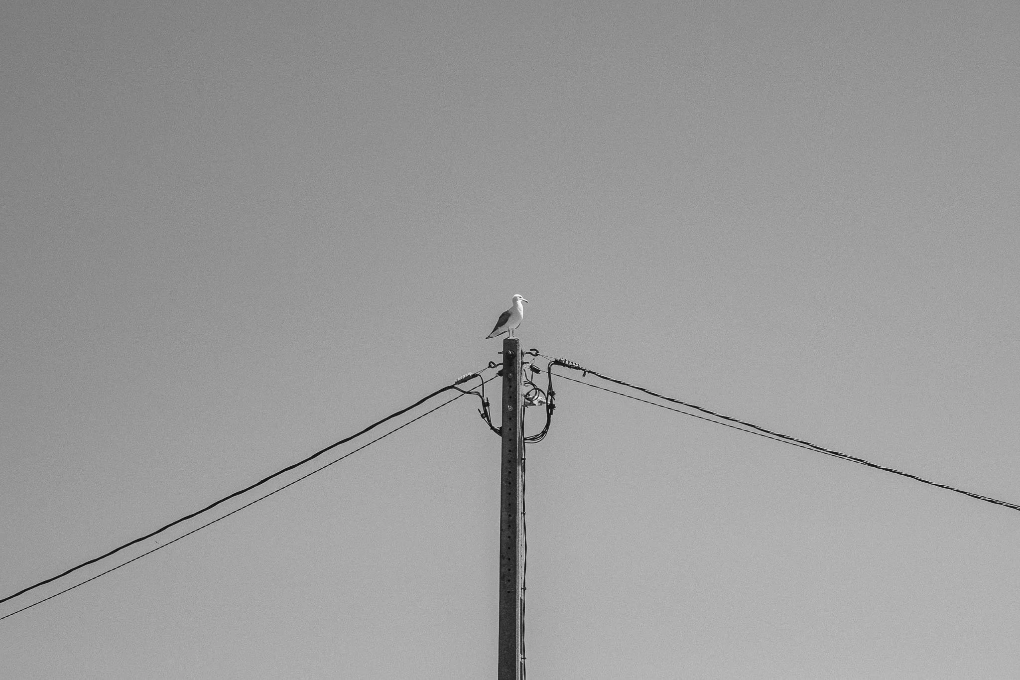 17. Muxia, La Coruña.jpg
