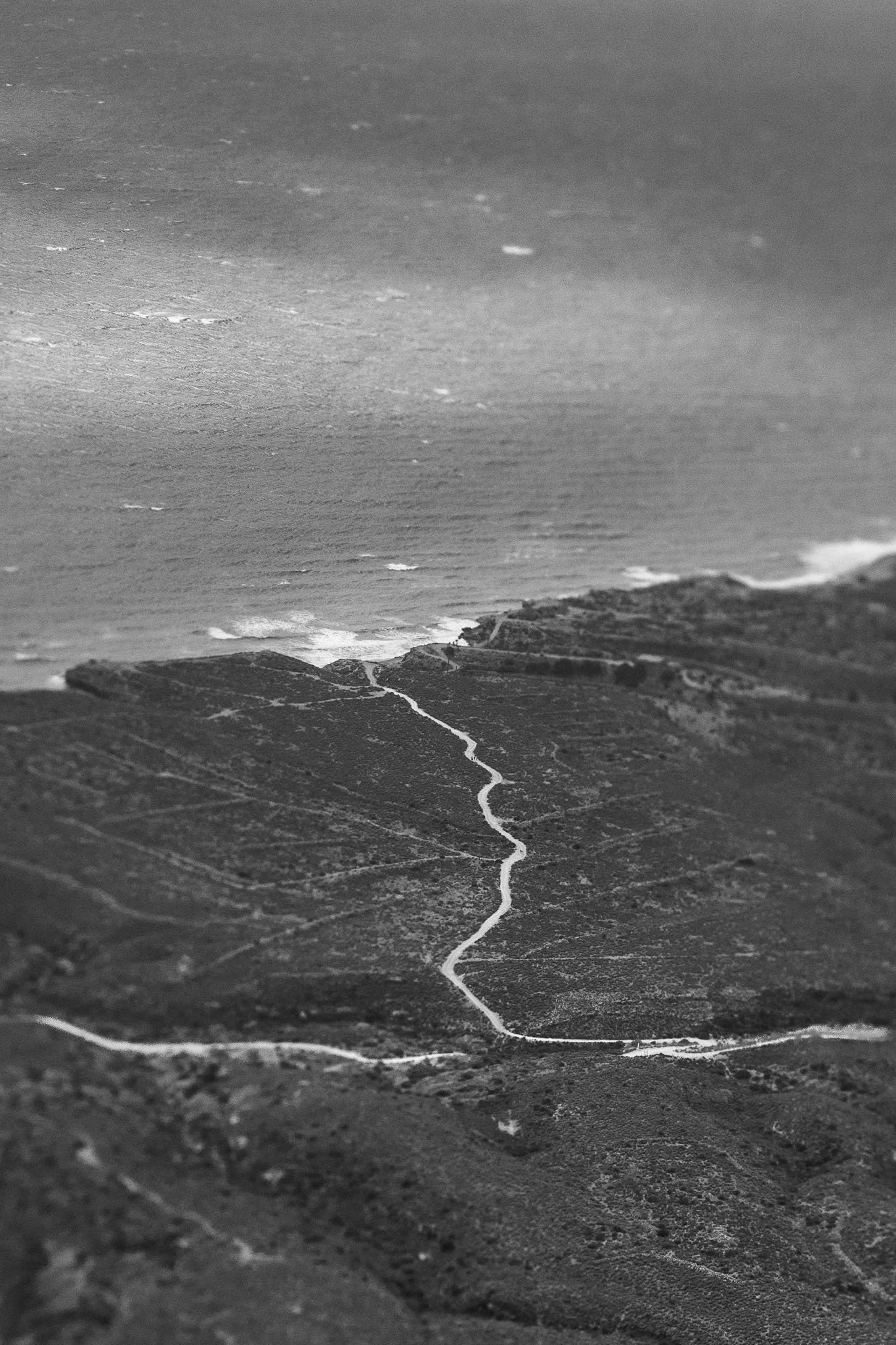 0044CG2_7382.jpg