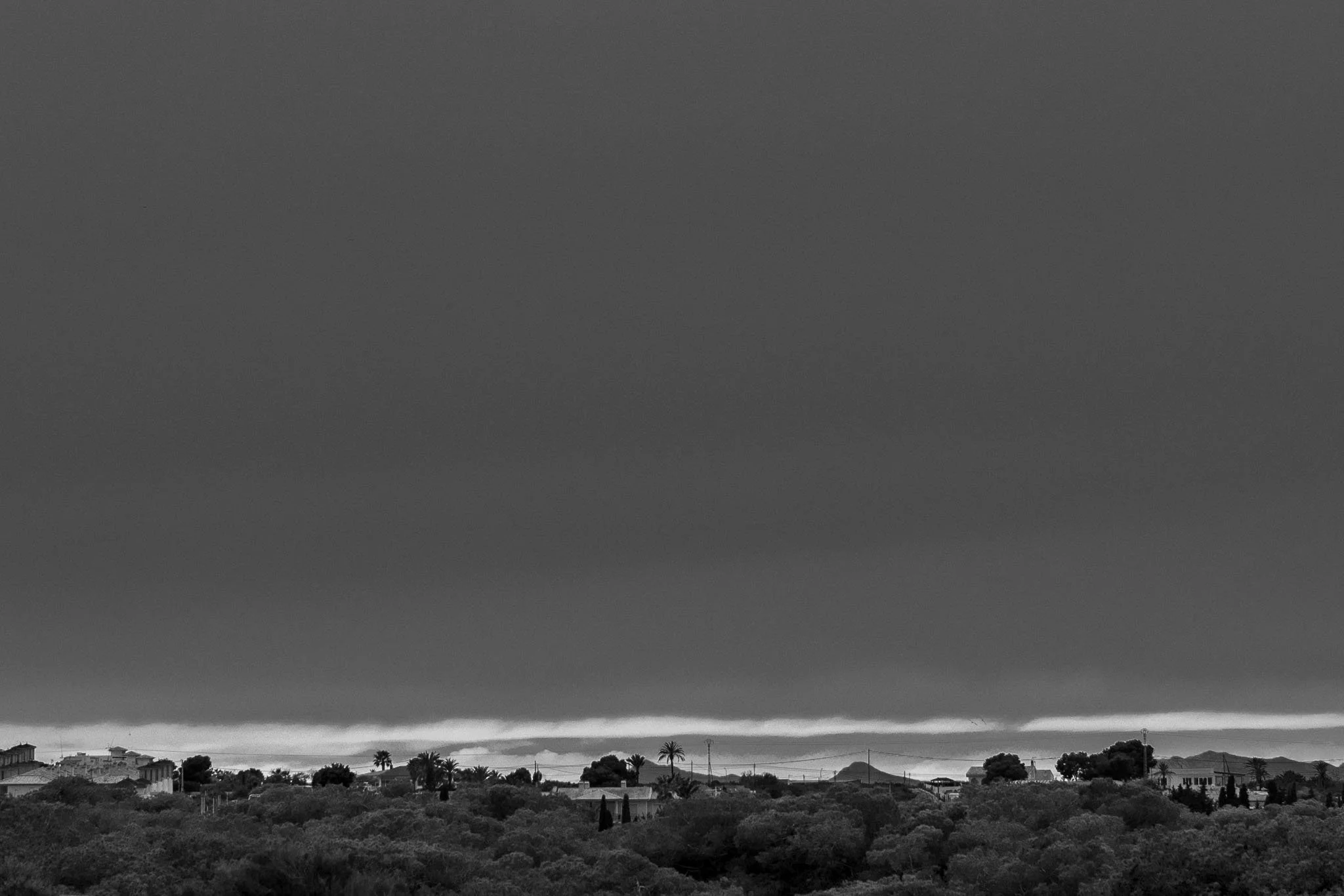 0006CG2_7119.jpg