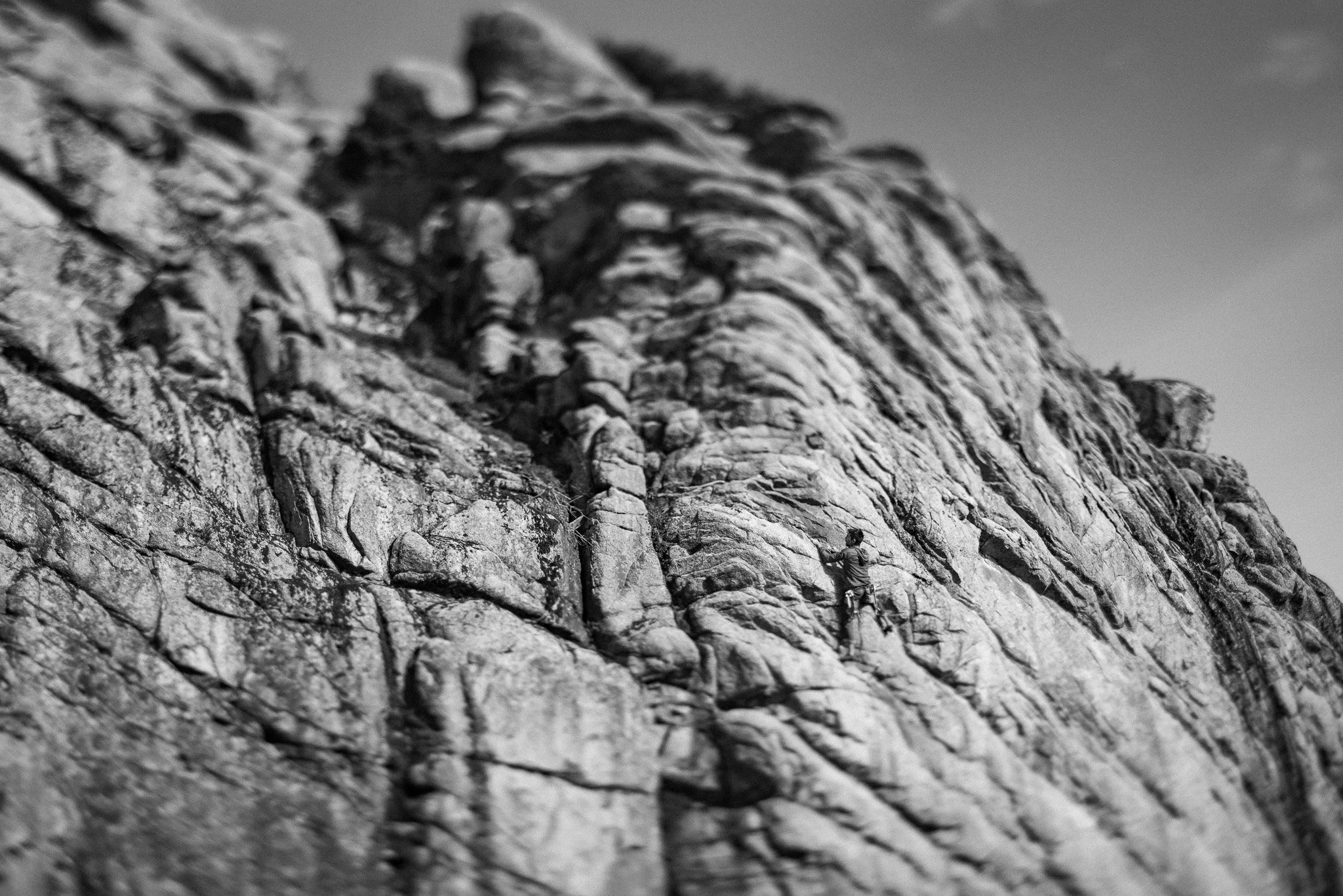 0031CG2_3931.jpg