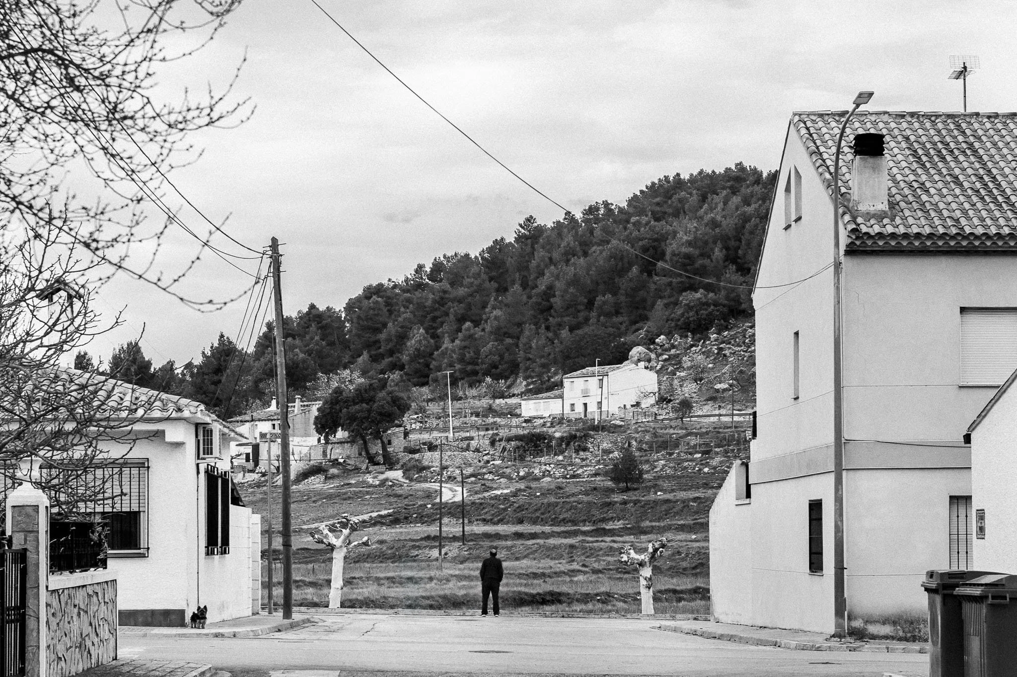 ZES_3542-Editar.jpg