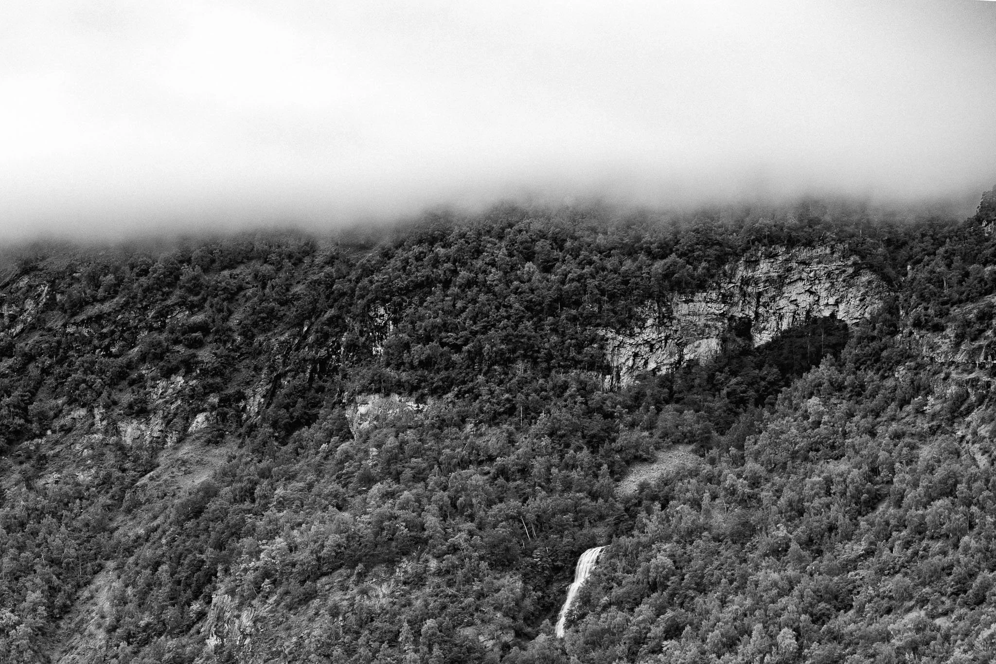 00080008ZES_0138.jpg