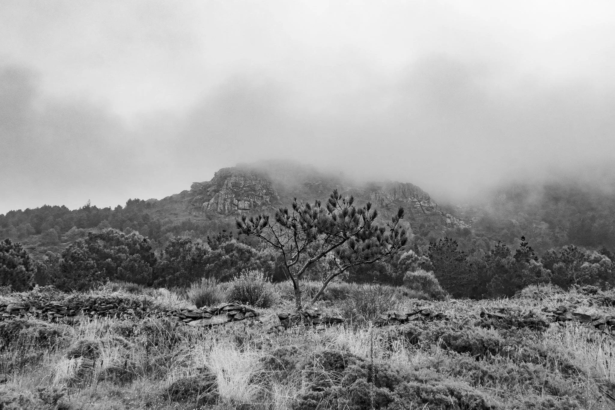 20. Monte Louro, Muros, La Coruña.jpg