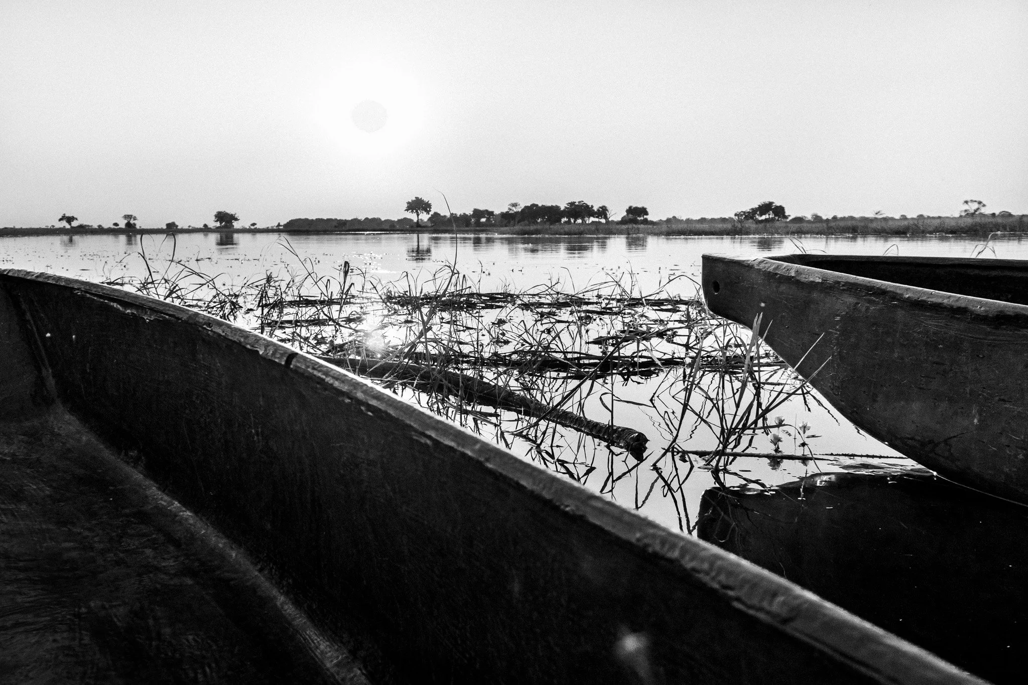 58. Mekoro. Delta del Okavango.jpg