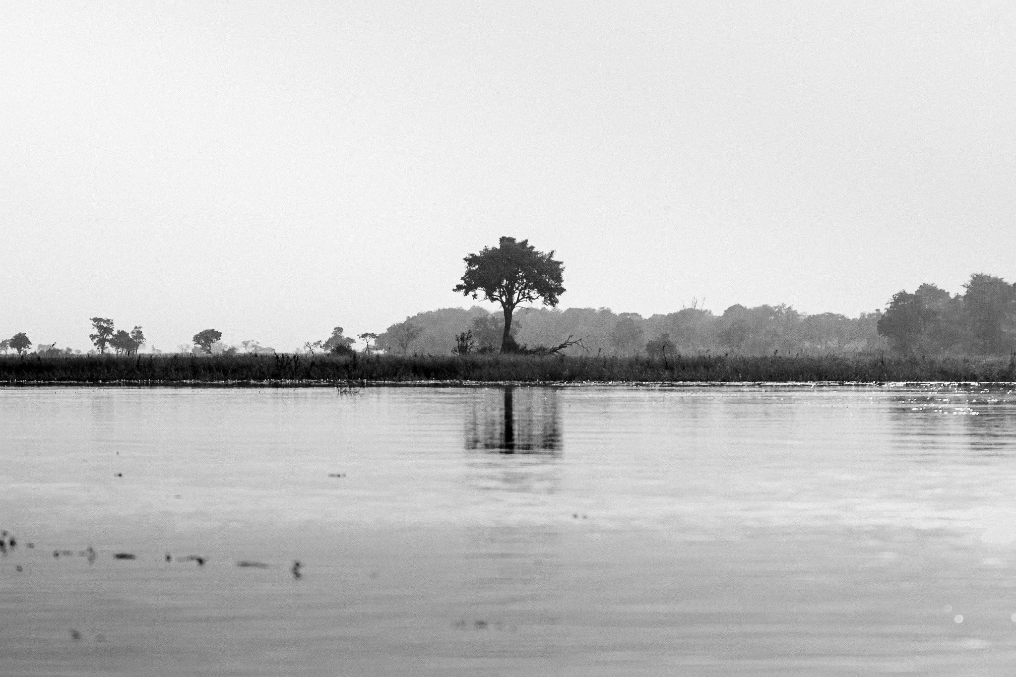 57. Delta del Okavango 11.jpg