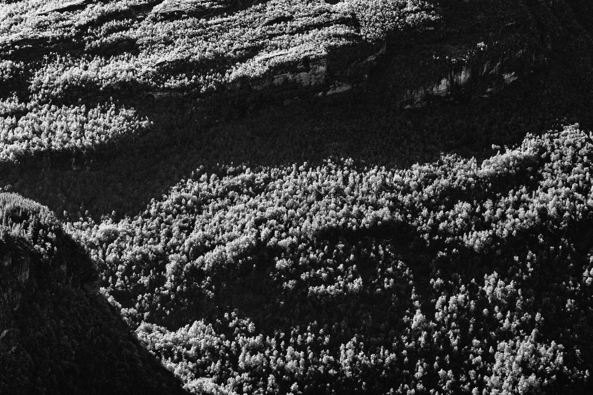 00250025CG2_8638.jpg