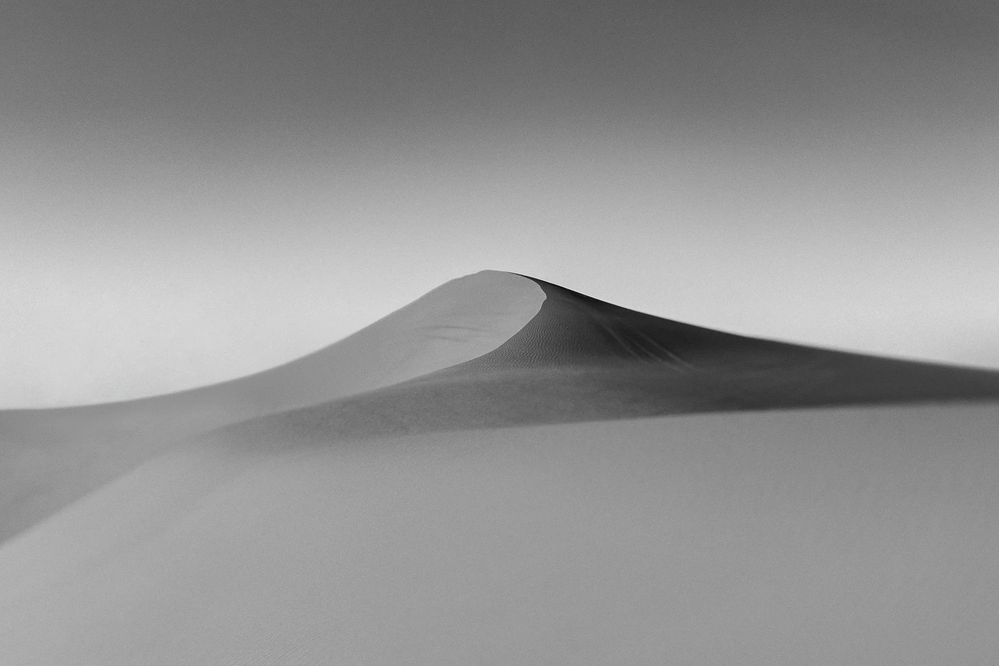 0006ZES_0209.jpg