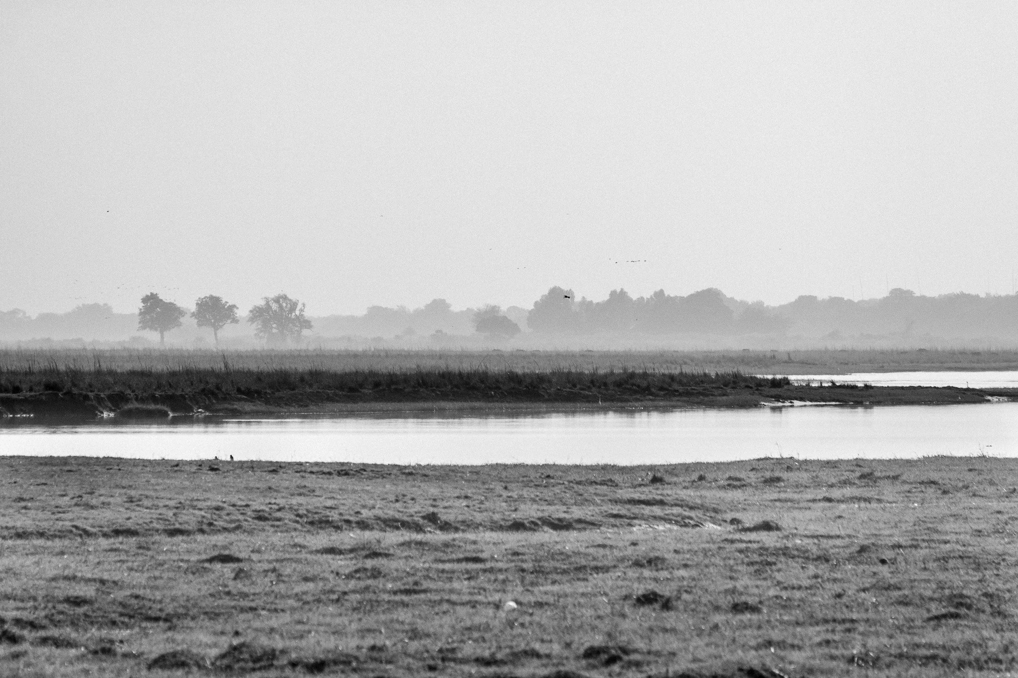 11.Rio Chobe.P.N. Chobe.jpg
