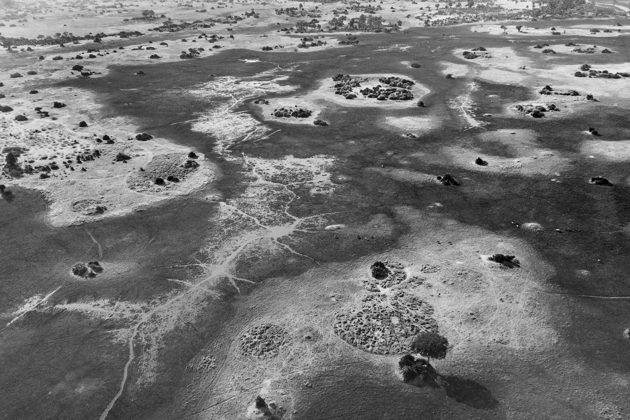 62. Delta del Okavango 13.jpg
