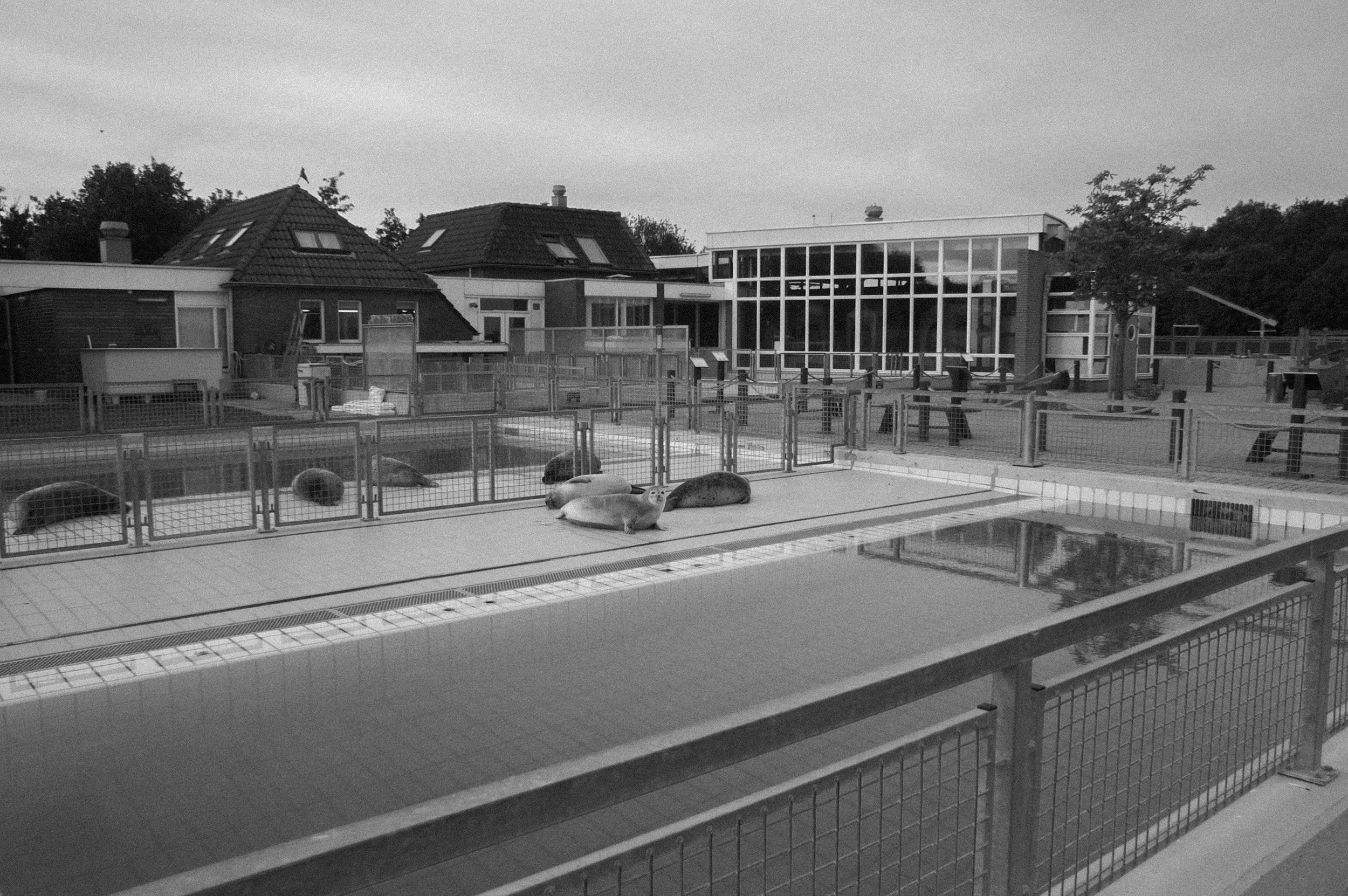 PICT0038.jpg