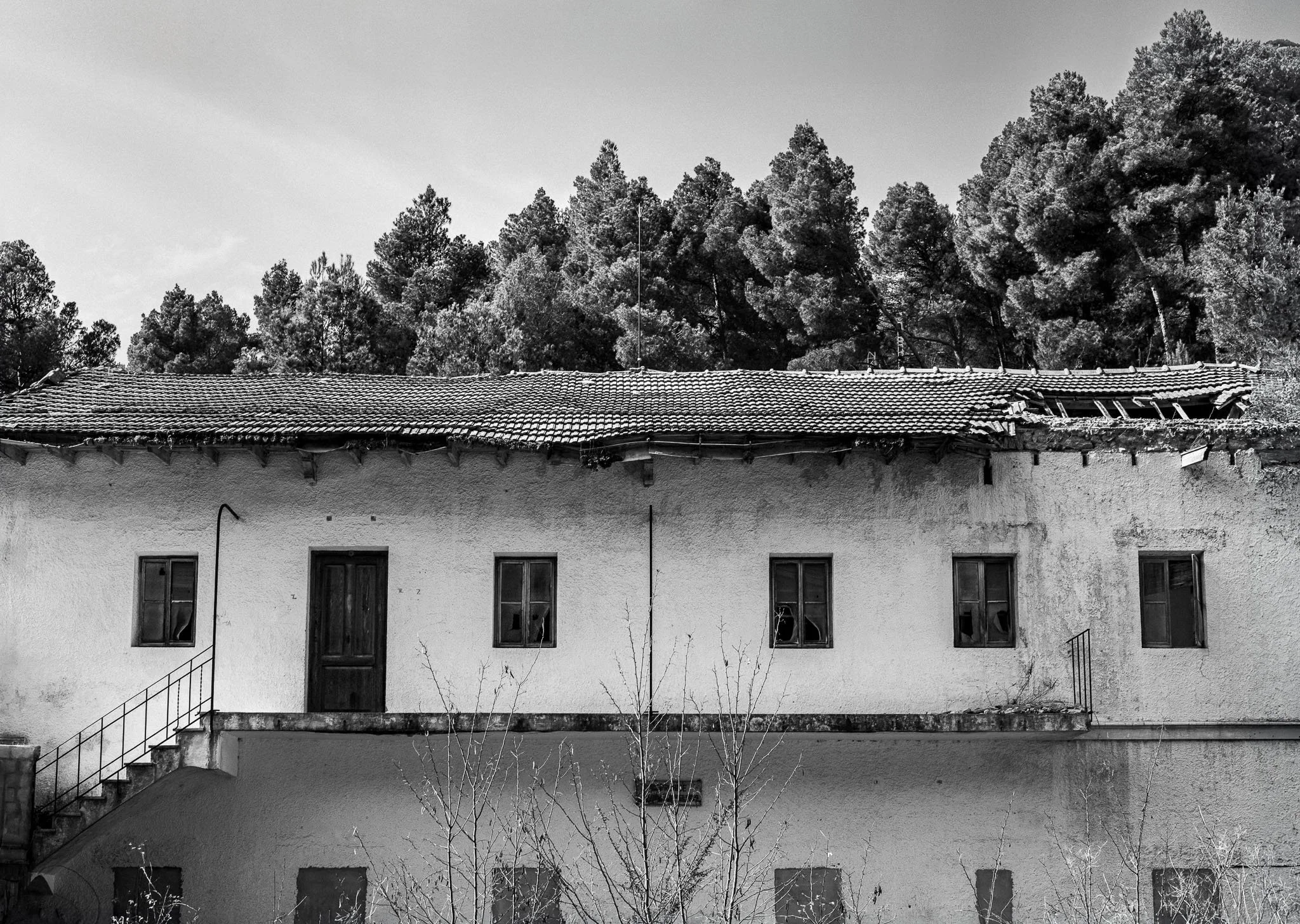ZES_3528-Editar.jpg
