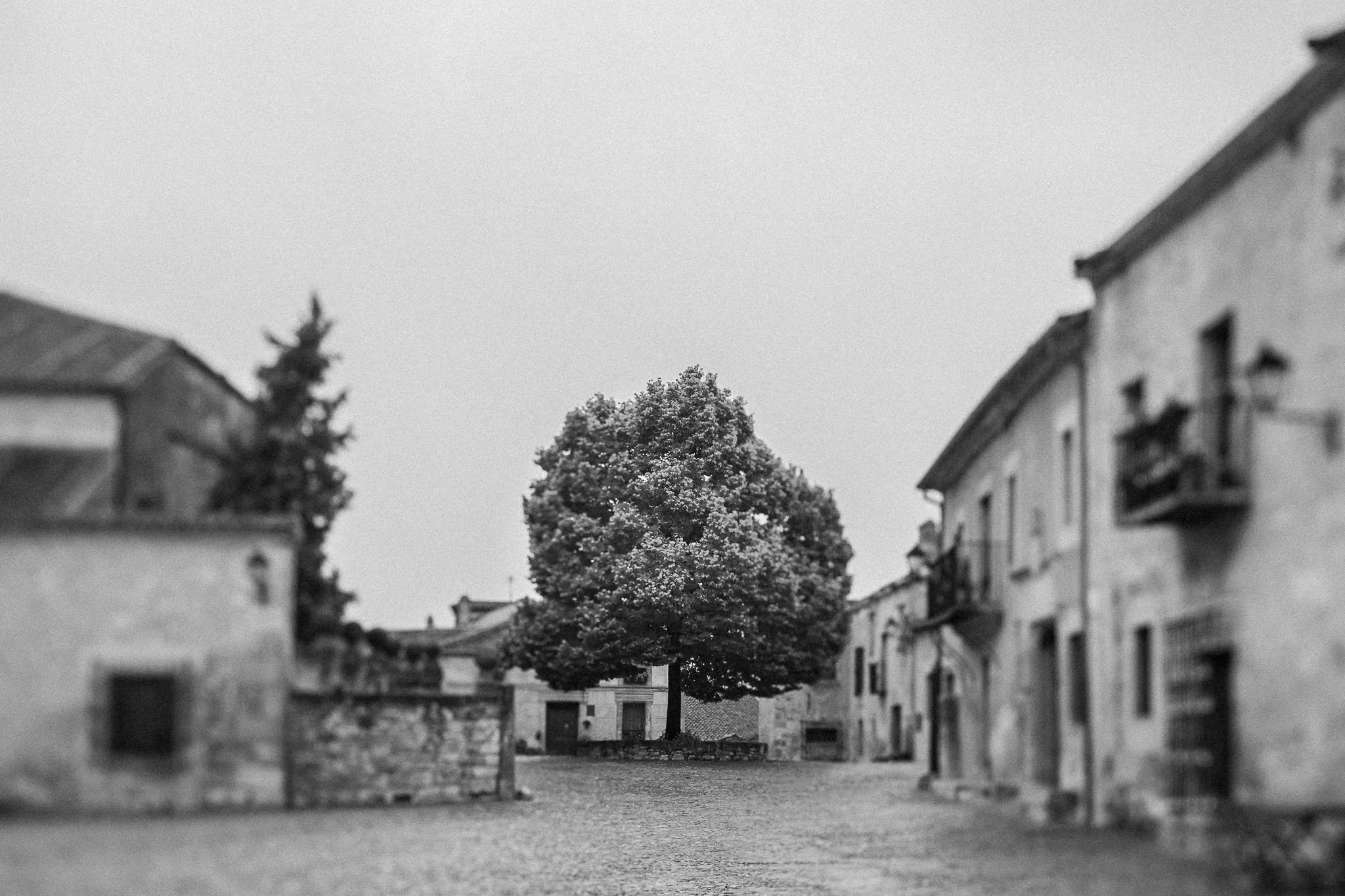 ZES_6588.jpg