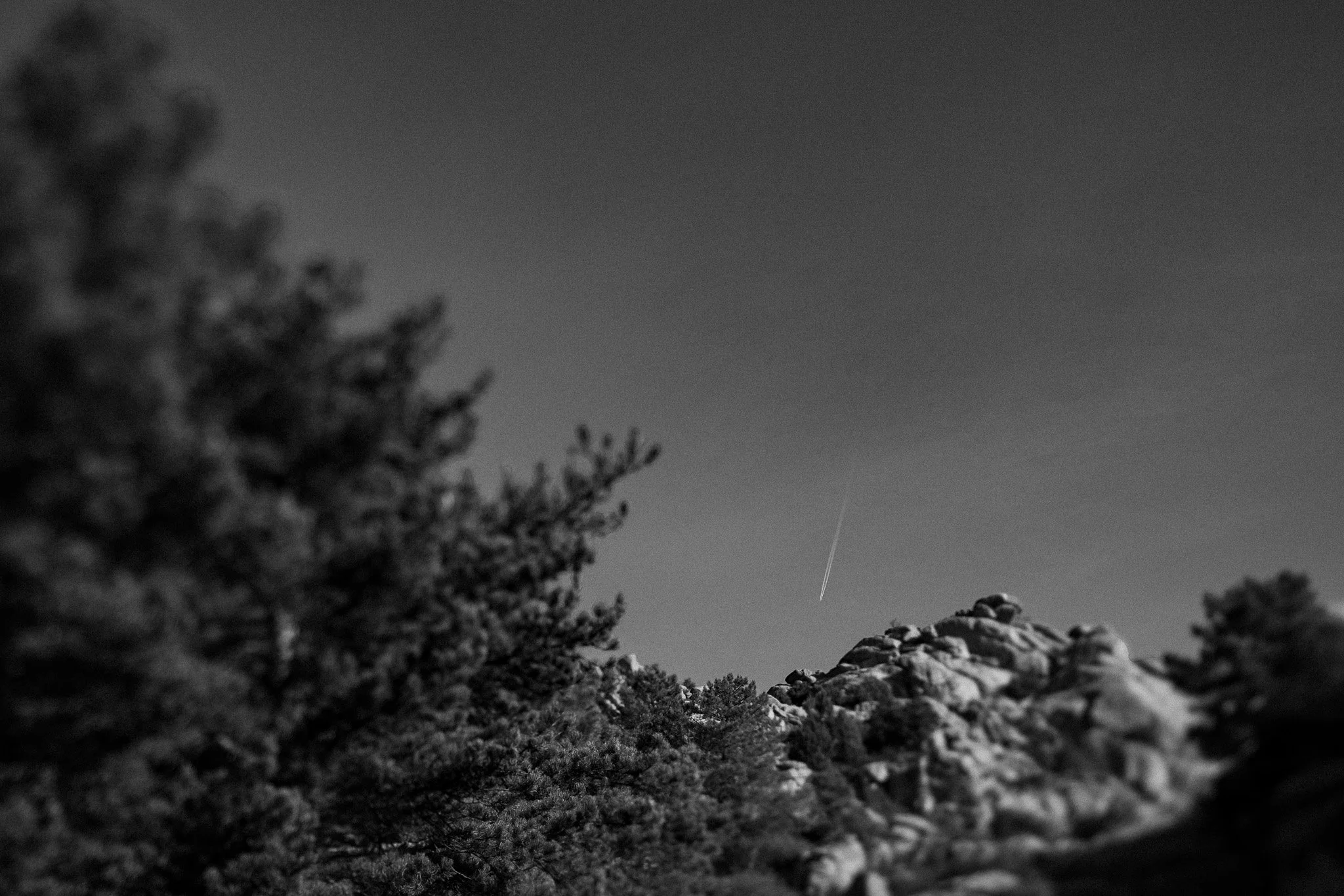 0015CG2_3878.jpg