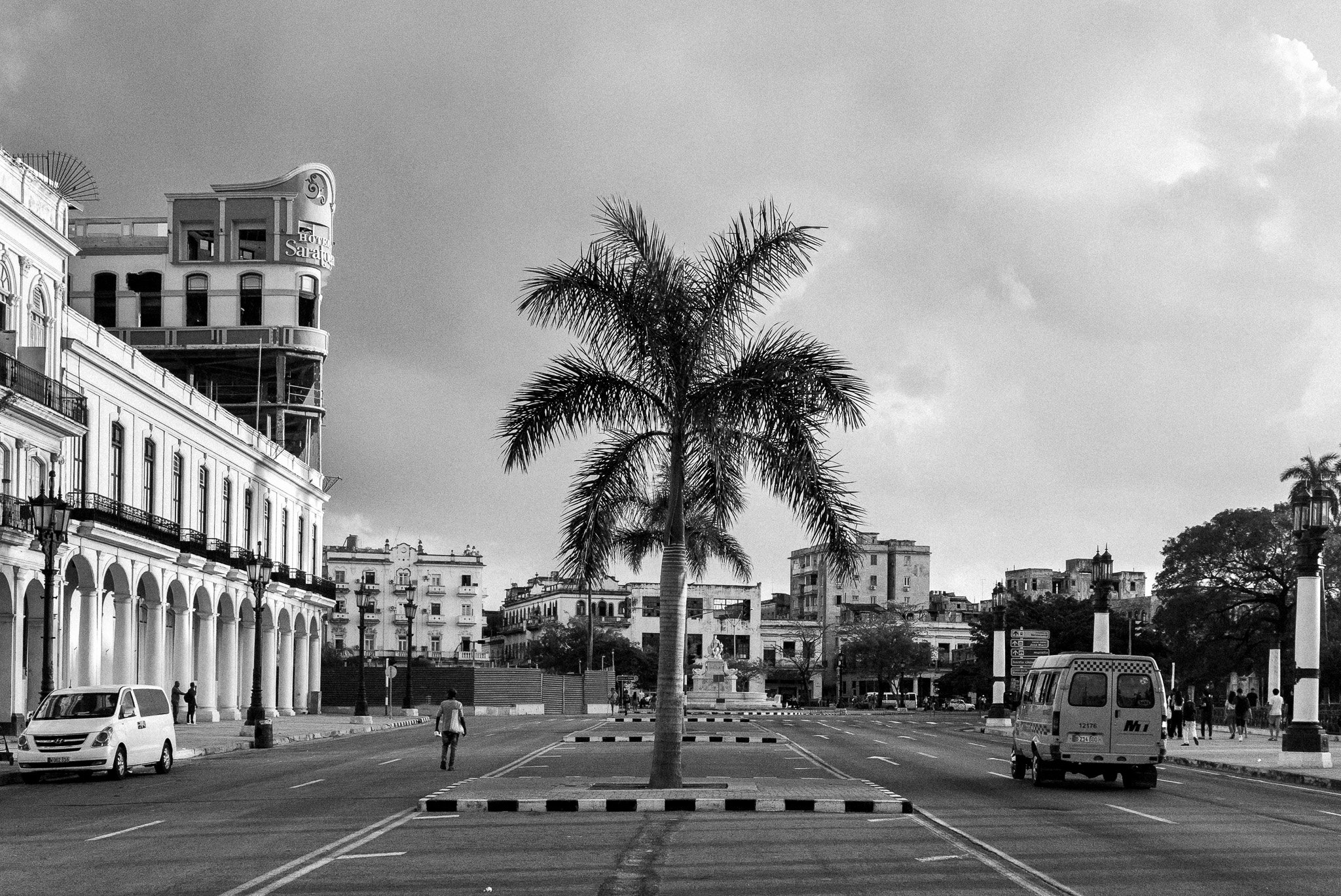 2.Palmera Saratoga.jpg