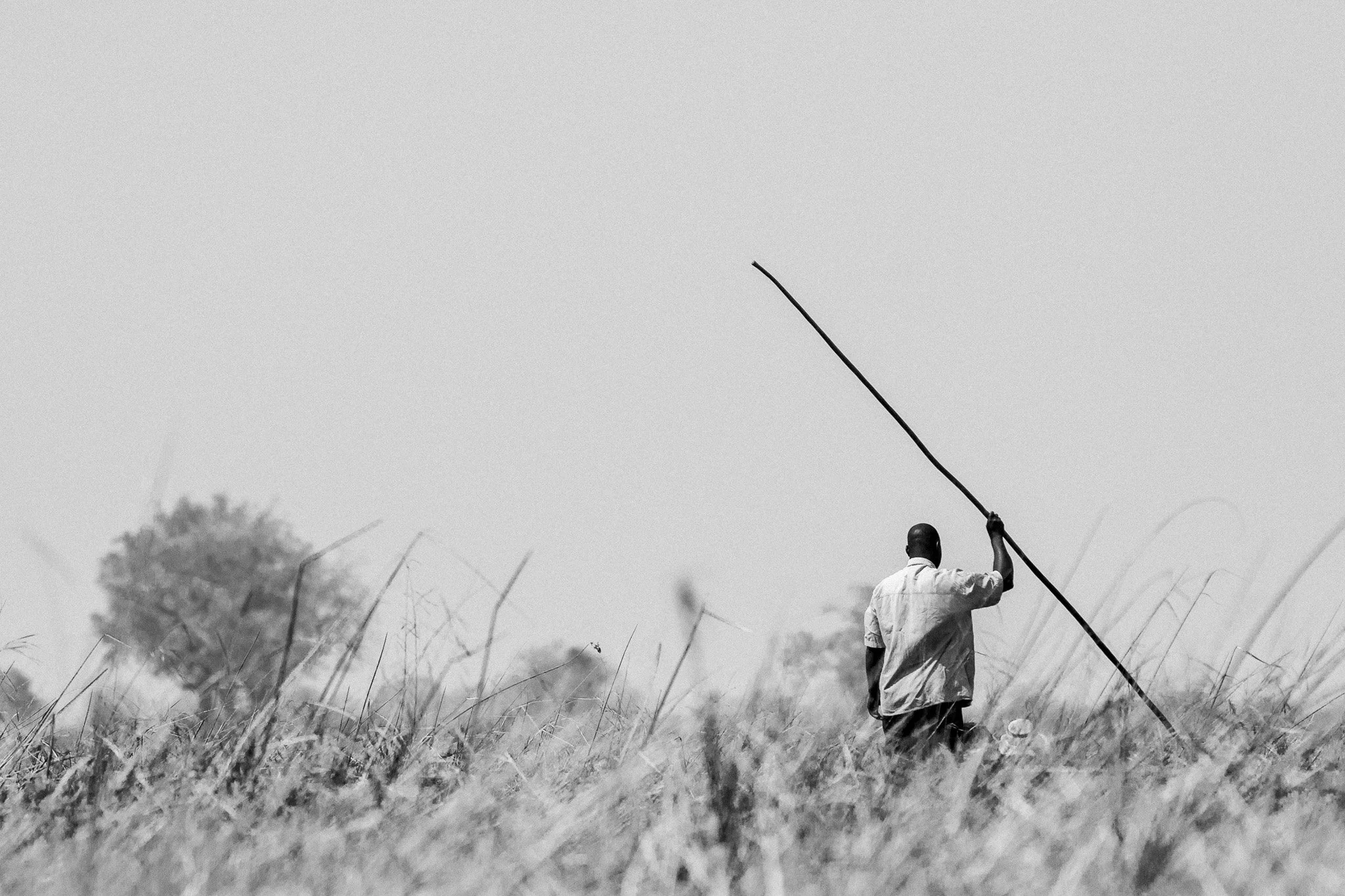 49. Delta del Okavango 10.jpg