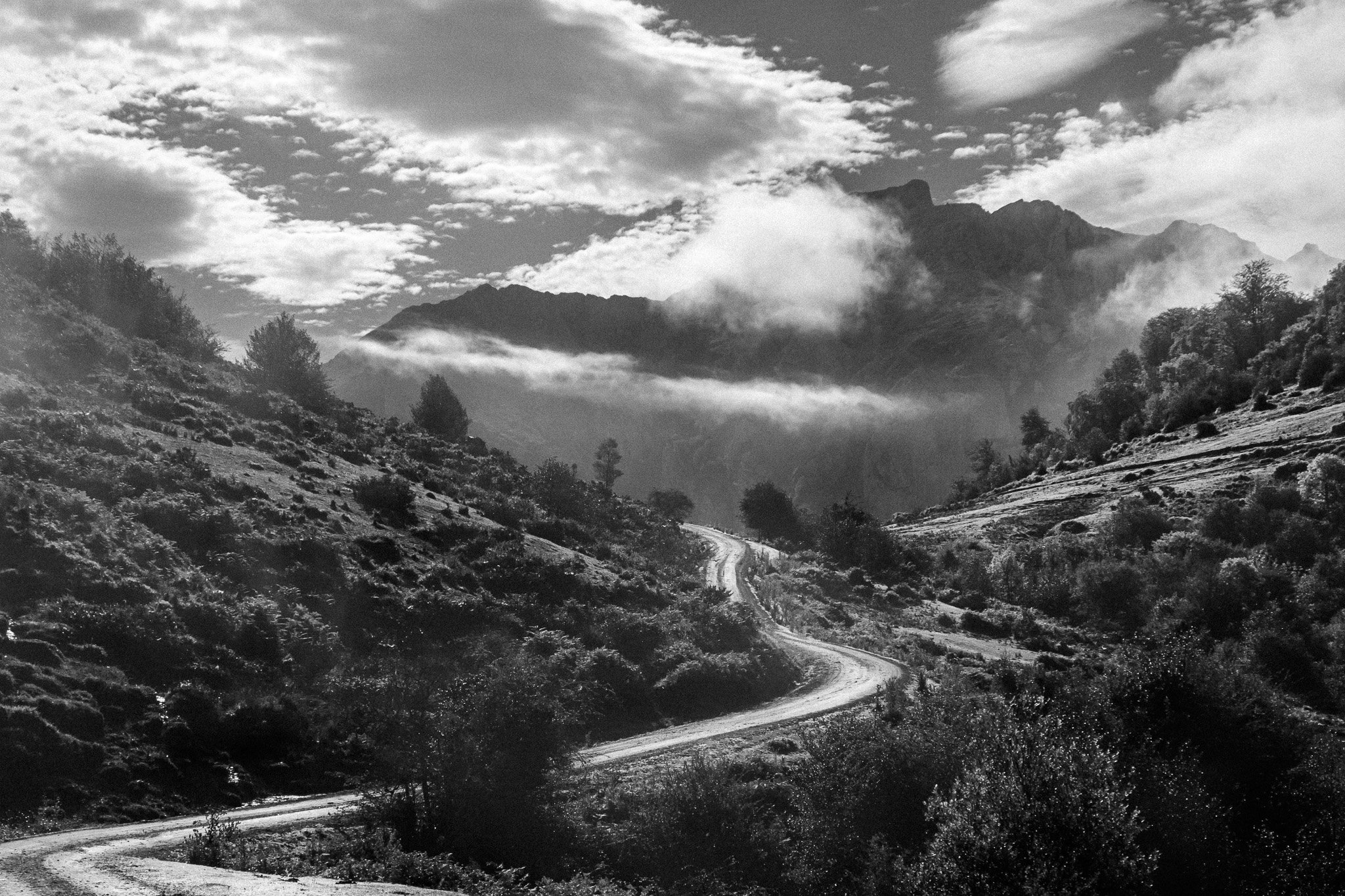 4.El camino.jpg