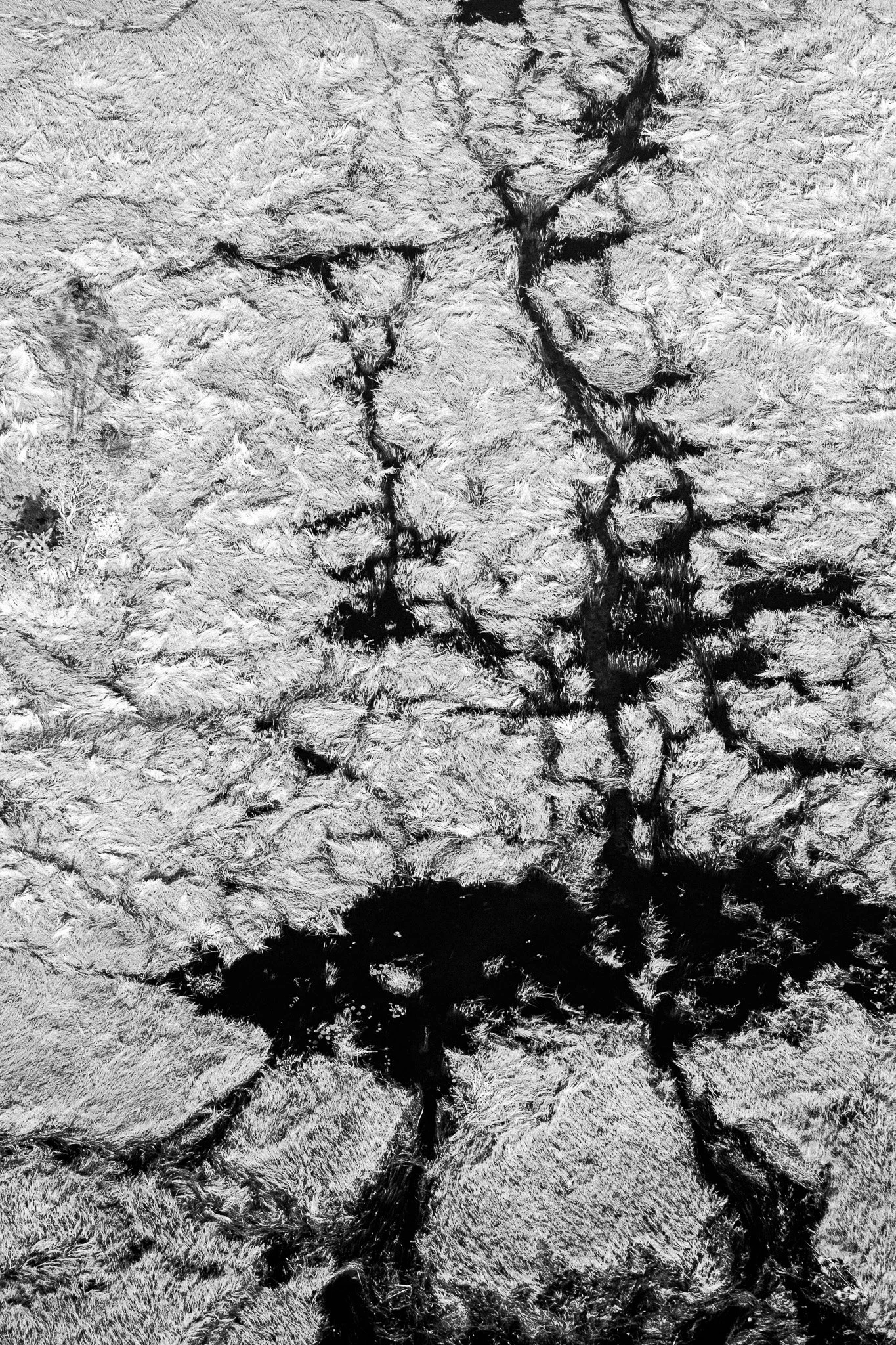 33. Delta del Okavango 4.jpg