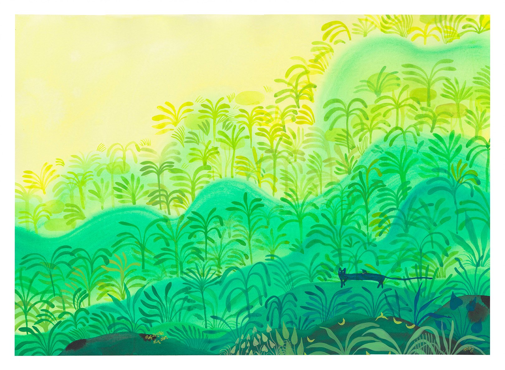 "Banana trail"