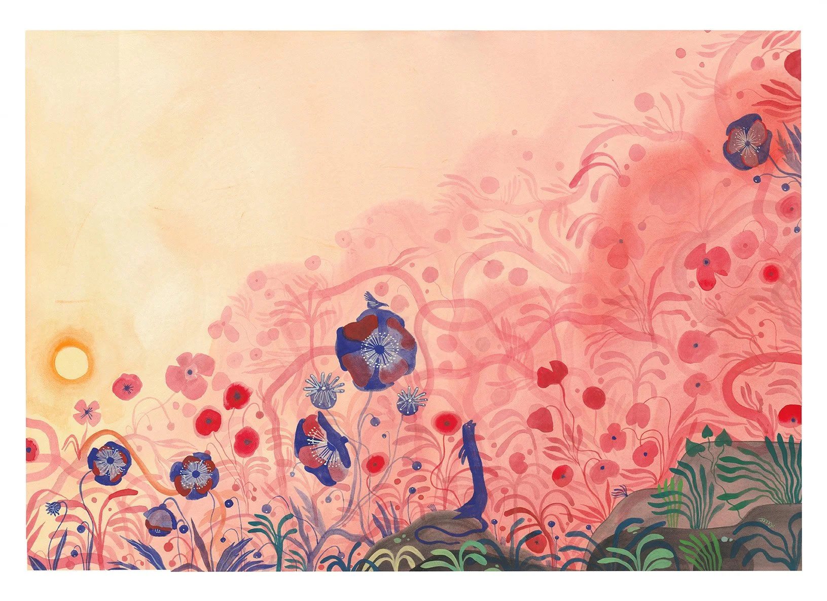 "Coquelicot valley"