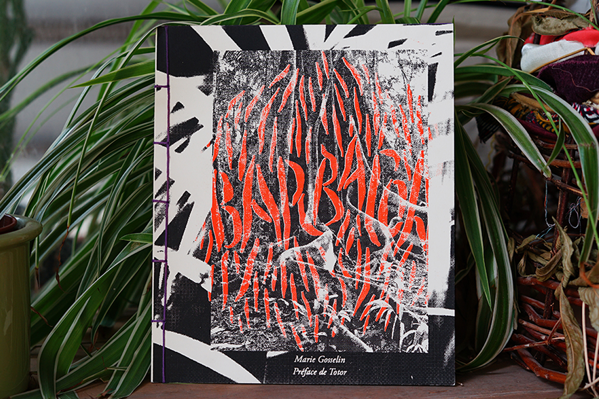 Marie Gosselin_artiste_illustratrice_projet Barbacoa_06.png
