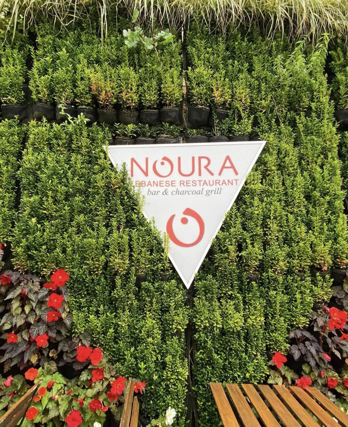 Flower wall at Noura Kingston's Outdoor Terrace