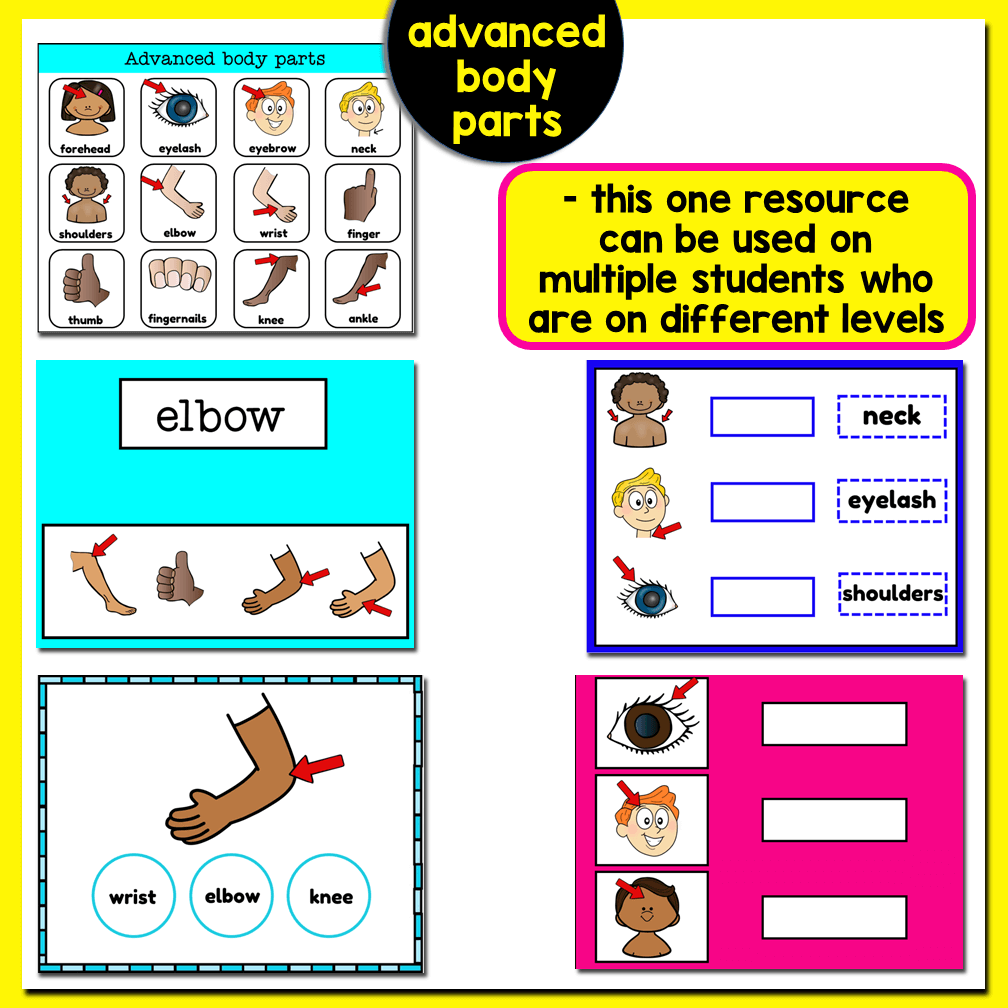 worksheet-for-body-parts (3).png