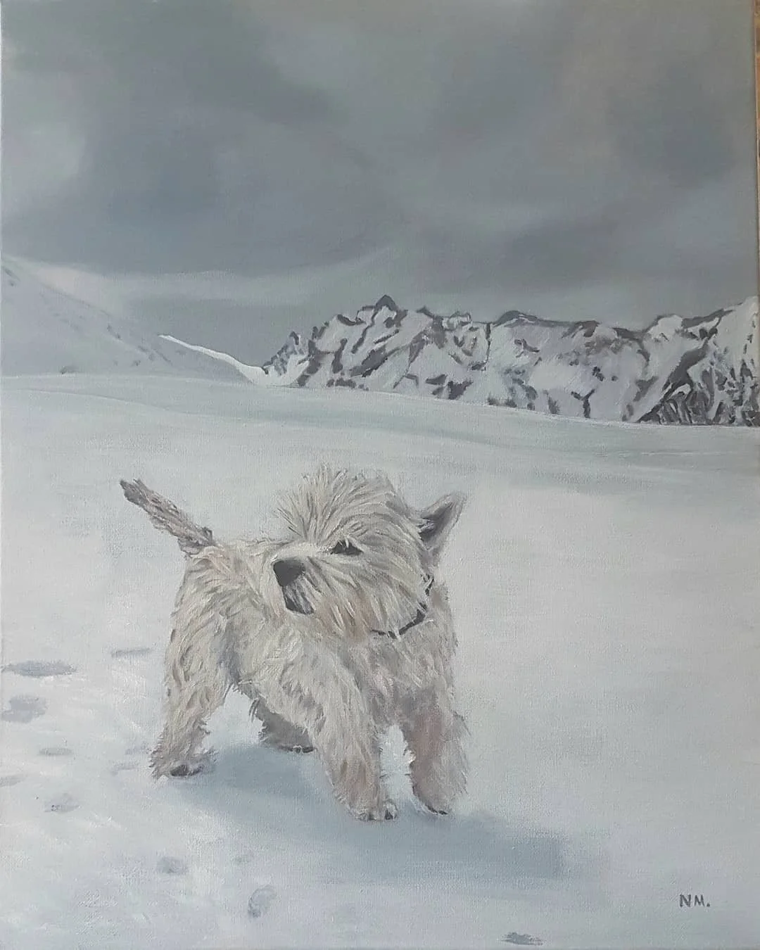 Scottie