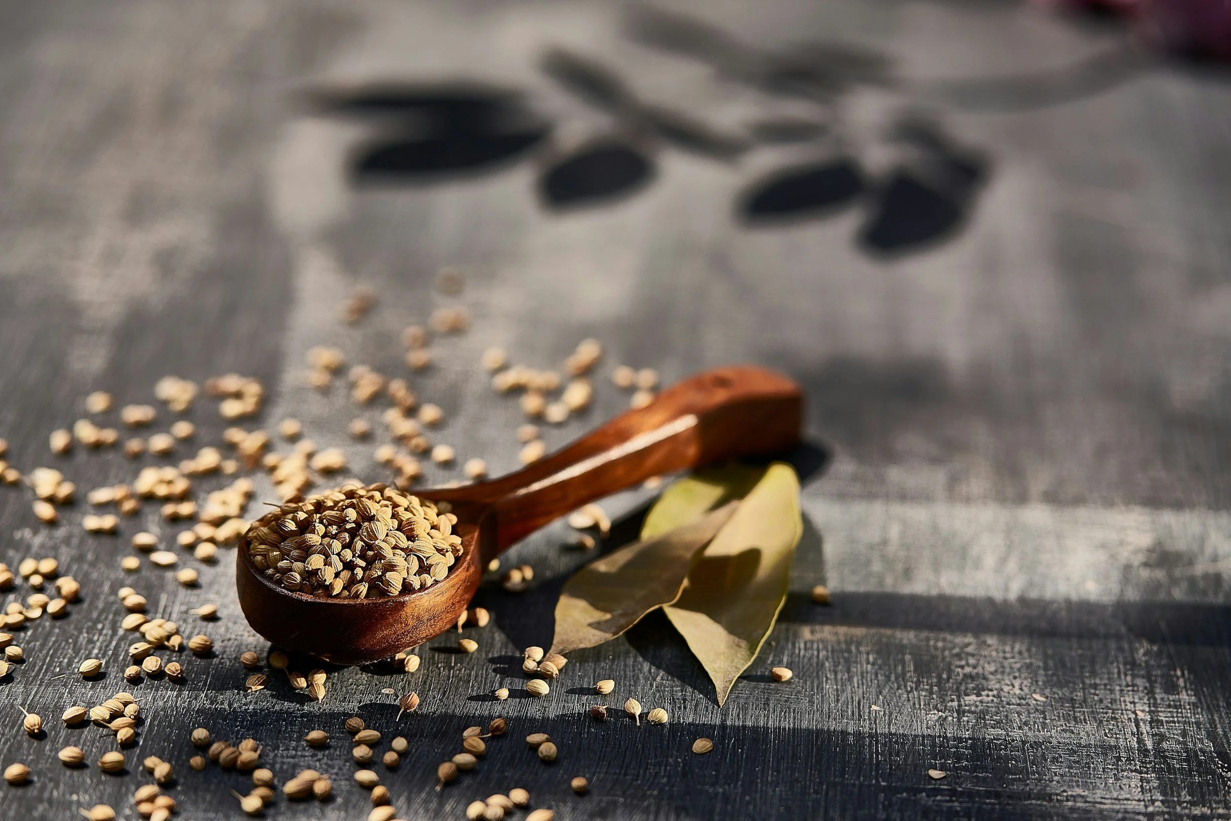 A wooden spoon filled with coriander seeds, with some seeds scattered on a dark wooden surface, and dried bay leaves nearby.