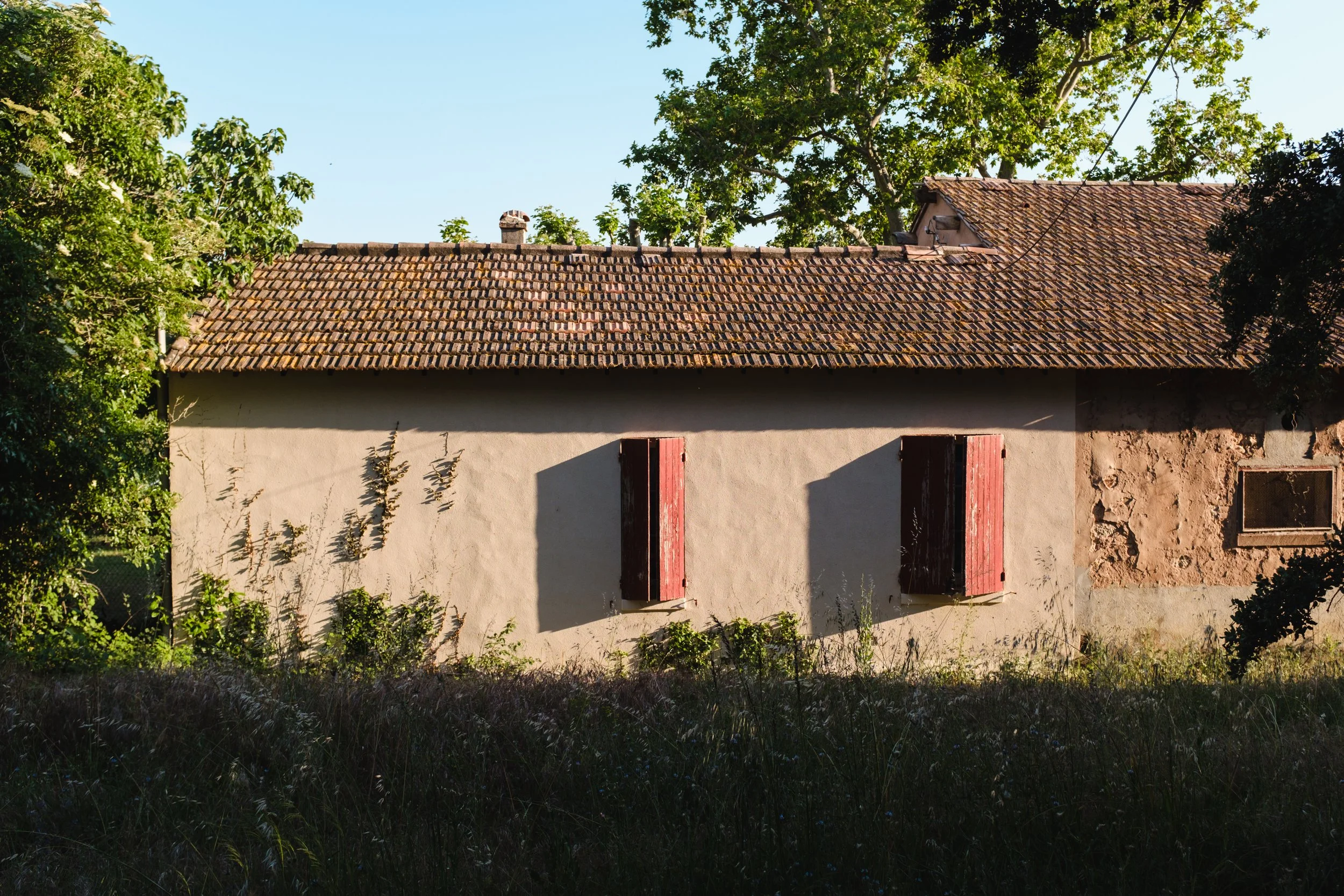 DSCF9113.jpg