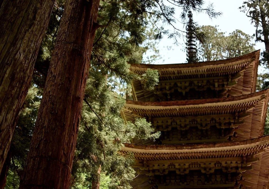 AA88DAD5-02AC-4CB0-B794-0CAFD6CB95FF_1_105_c.jpeg