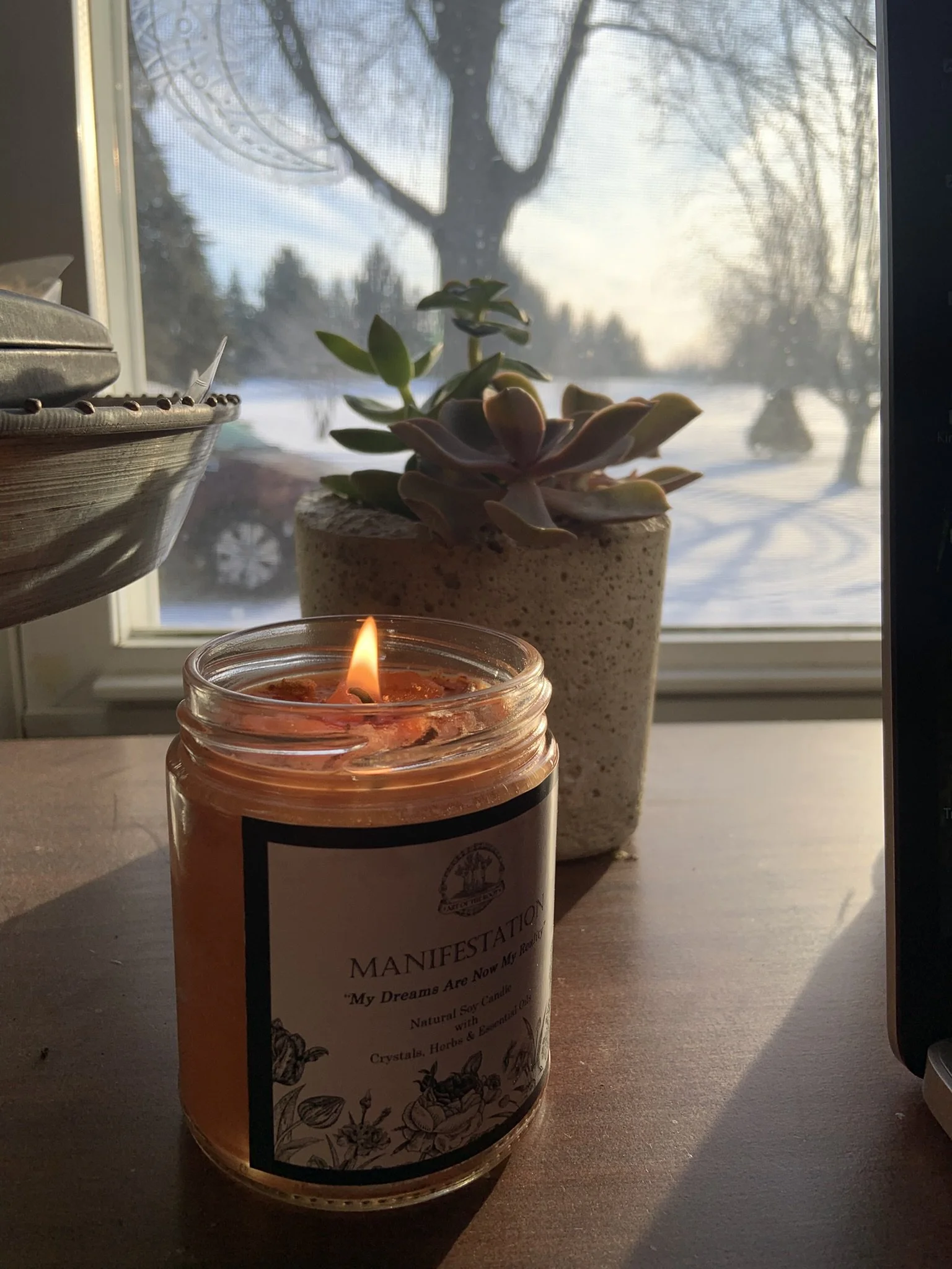 A lit candle in a glass jar with a label, a potted succulent plant, and a window showing a snowy outdoor landscape with trees in the background.