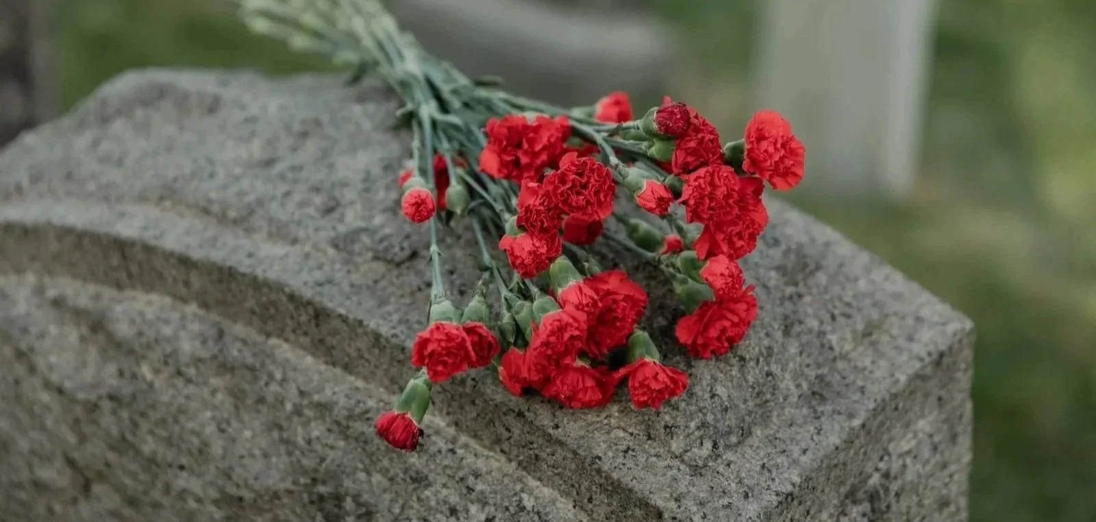 Bouquet of red carnations resting on a gray stone surface.