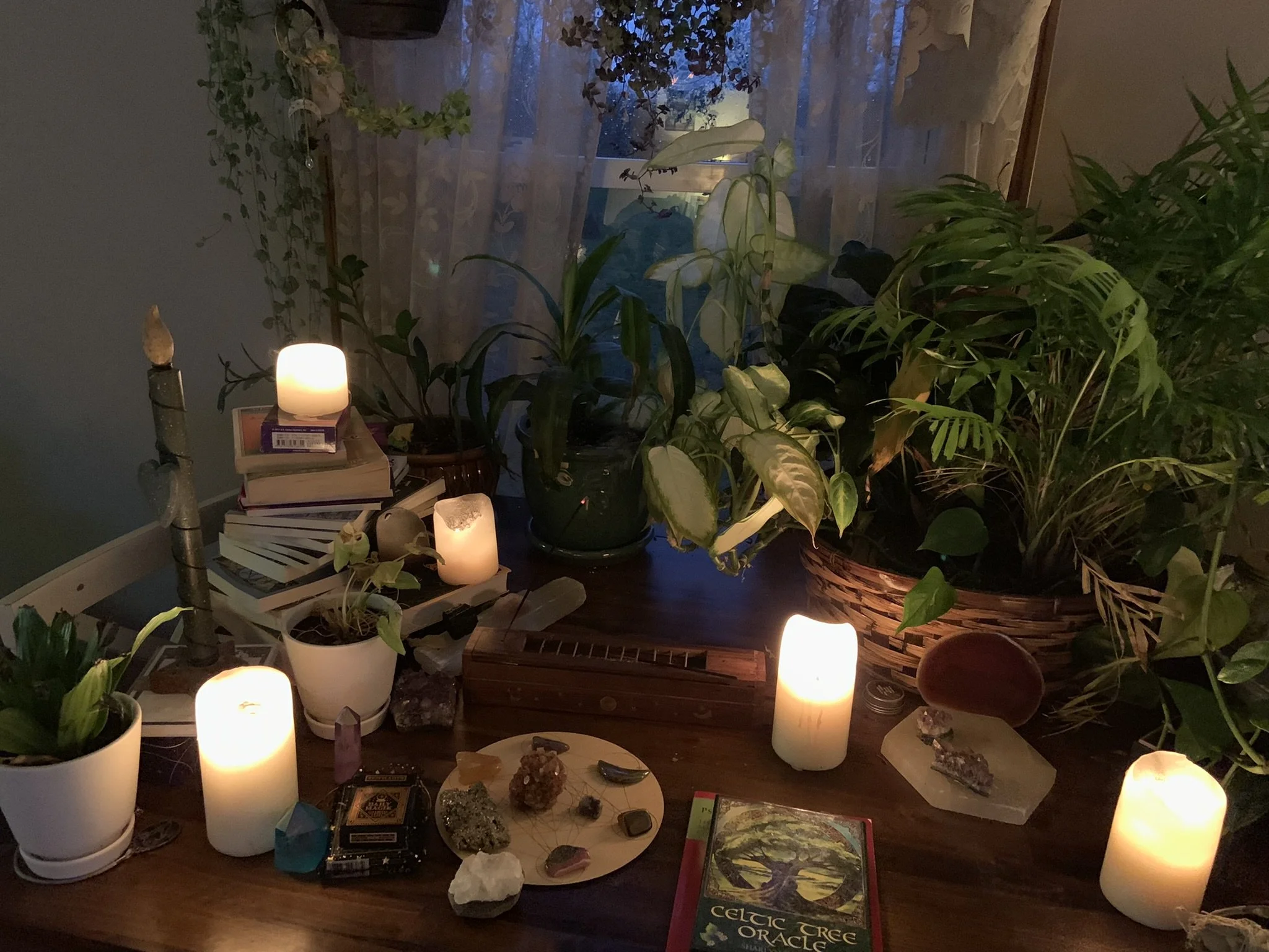 A dimly lit room with several potted plants, candles, crystals, and tarot cards arranged on a table and the windowsill, creating a cozy, mystical atmosphere.