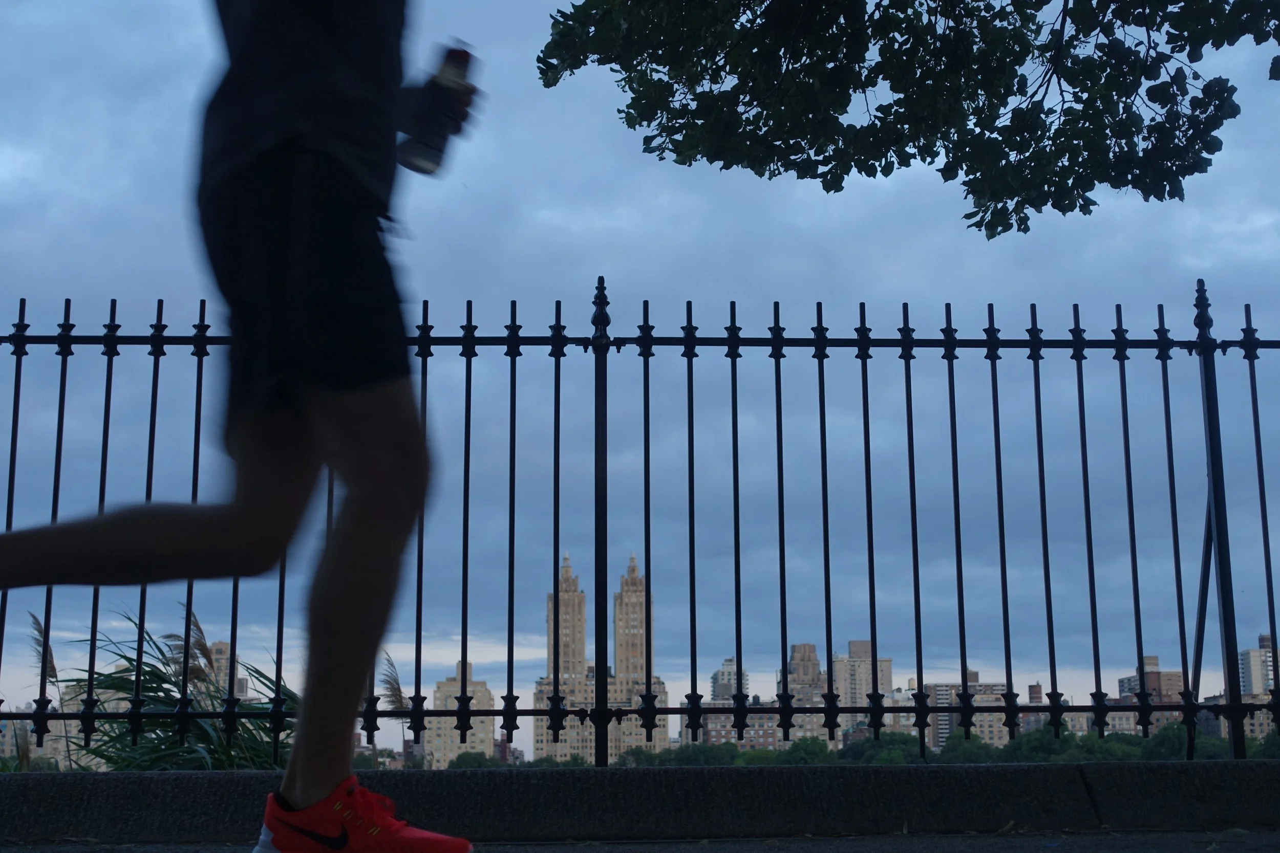 Joger in Central Park.jpg