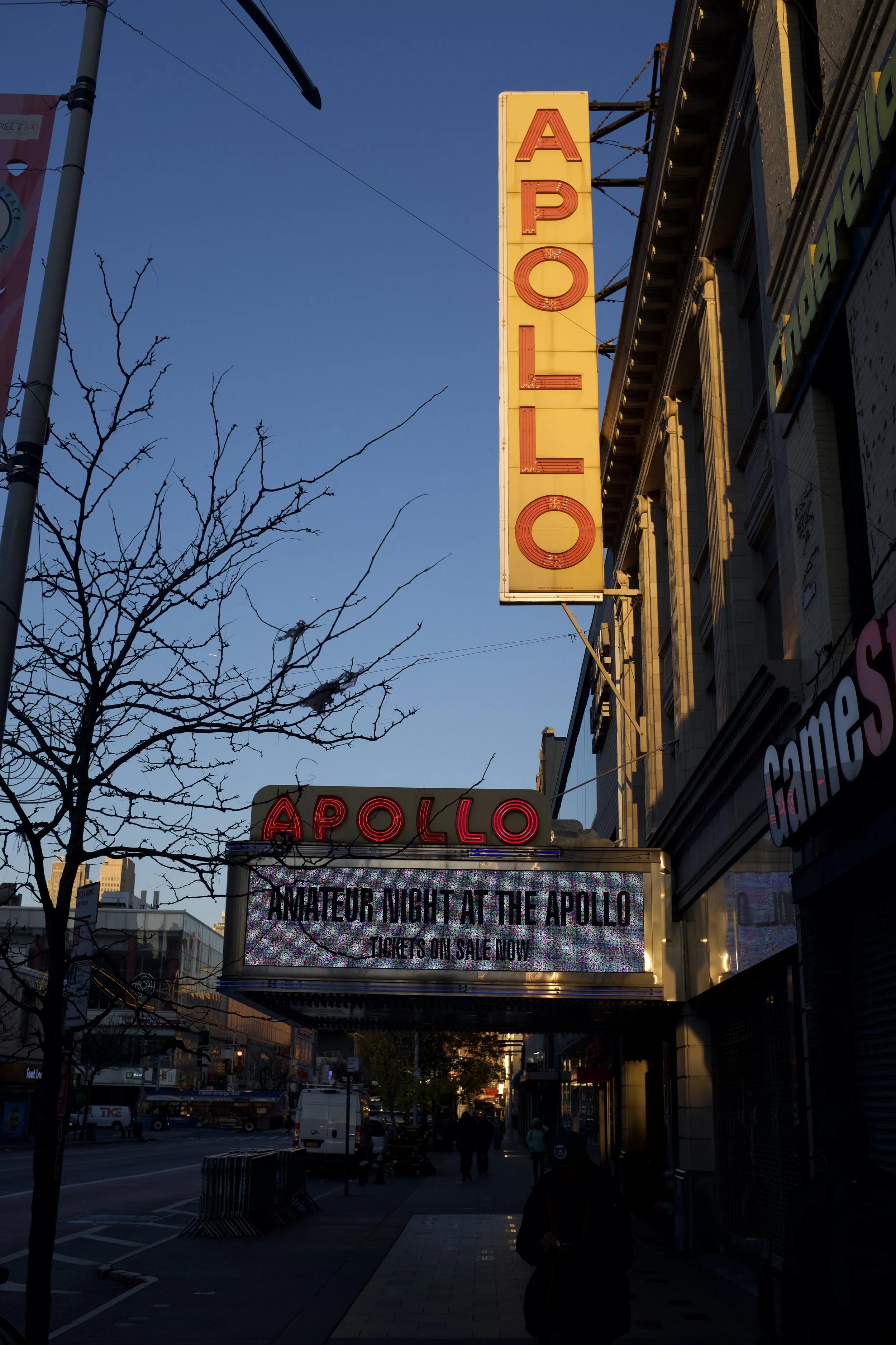 Apollo copy.jpg