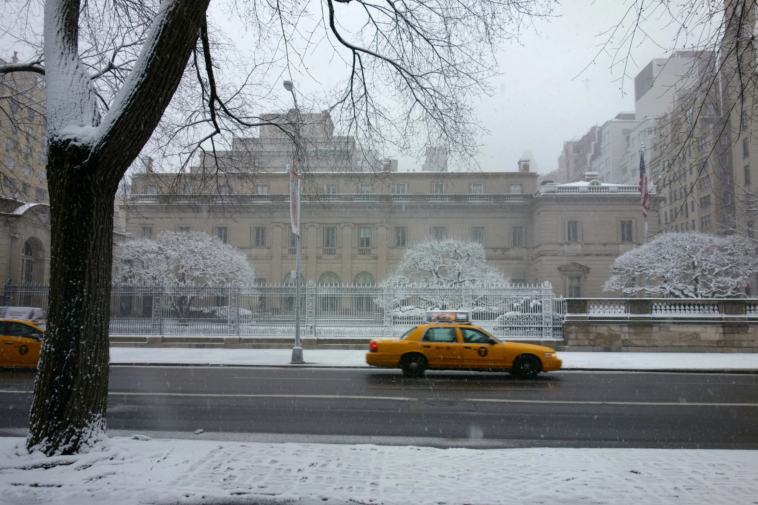 Frick in snow.jpg