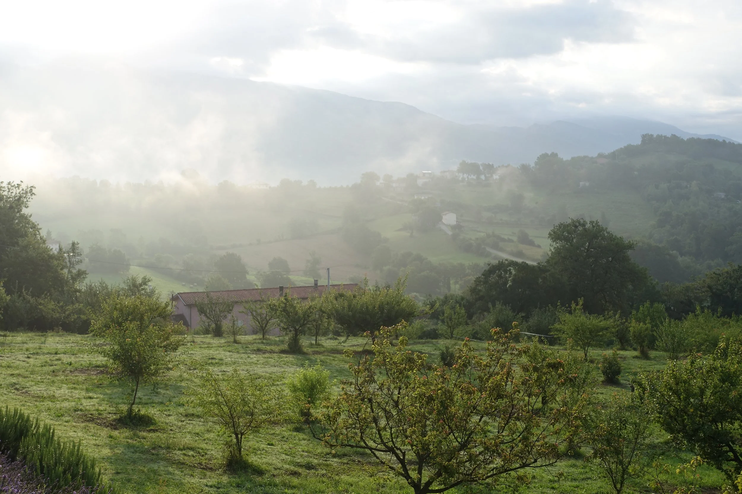 Mist.jpeg