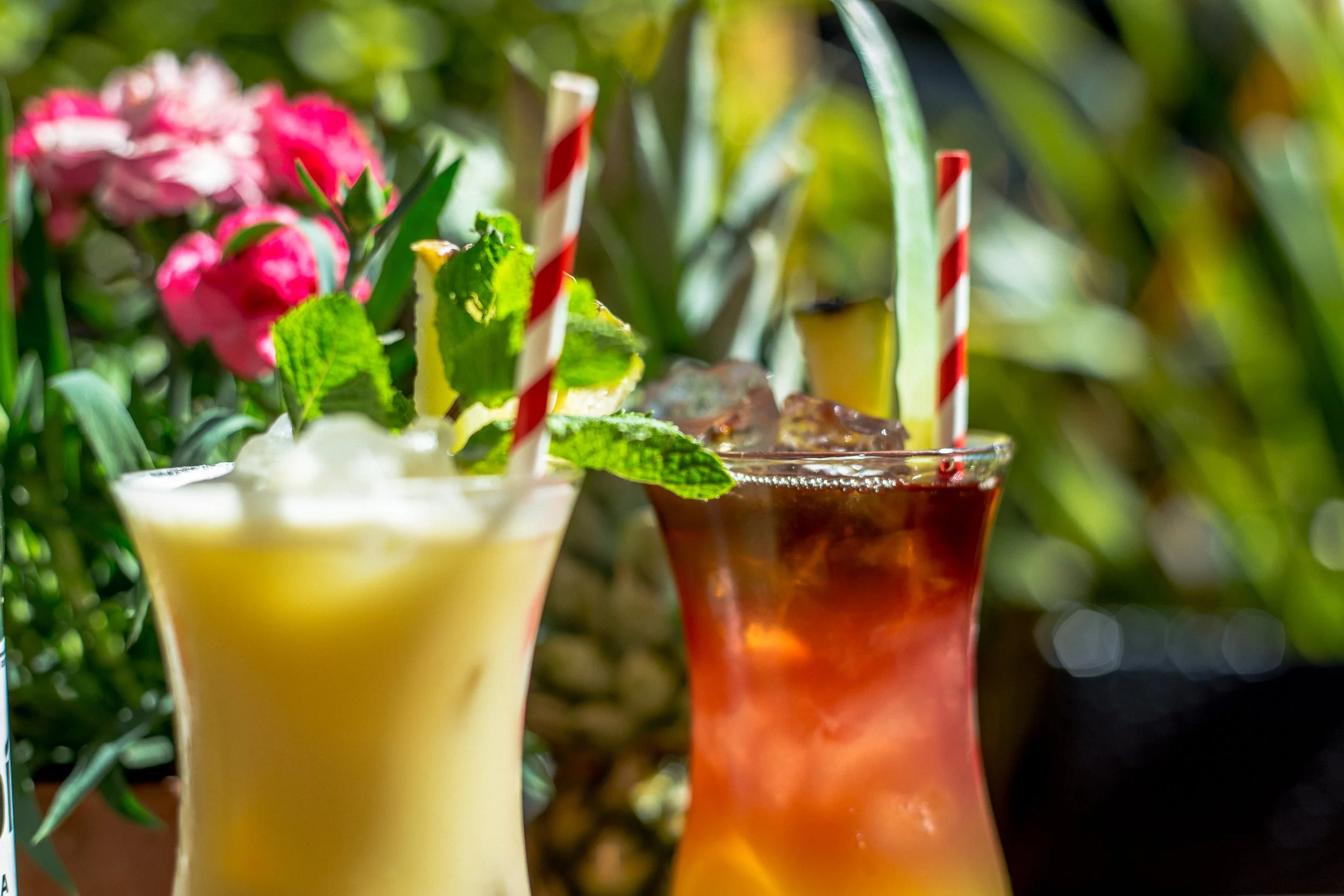 Food & Drink photography for healthy foods, restaurant based in Durham, North East England