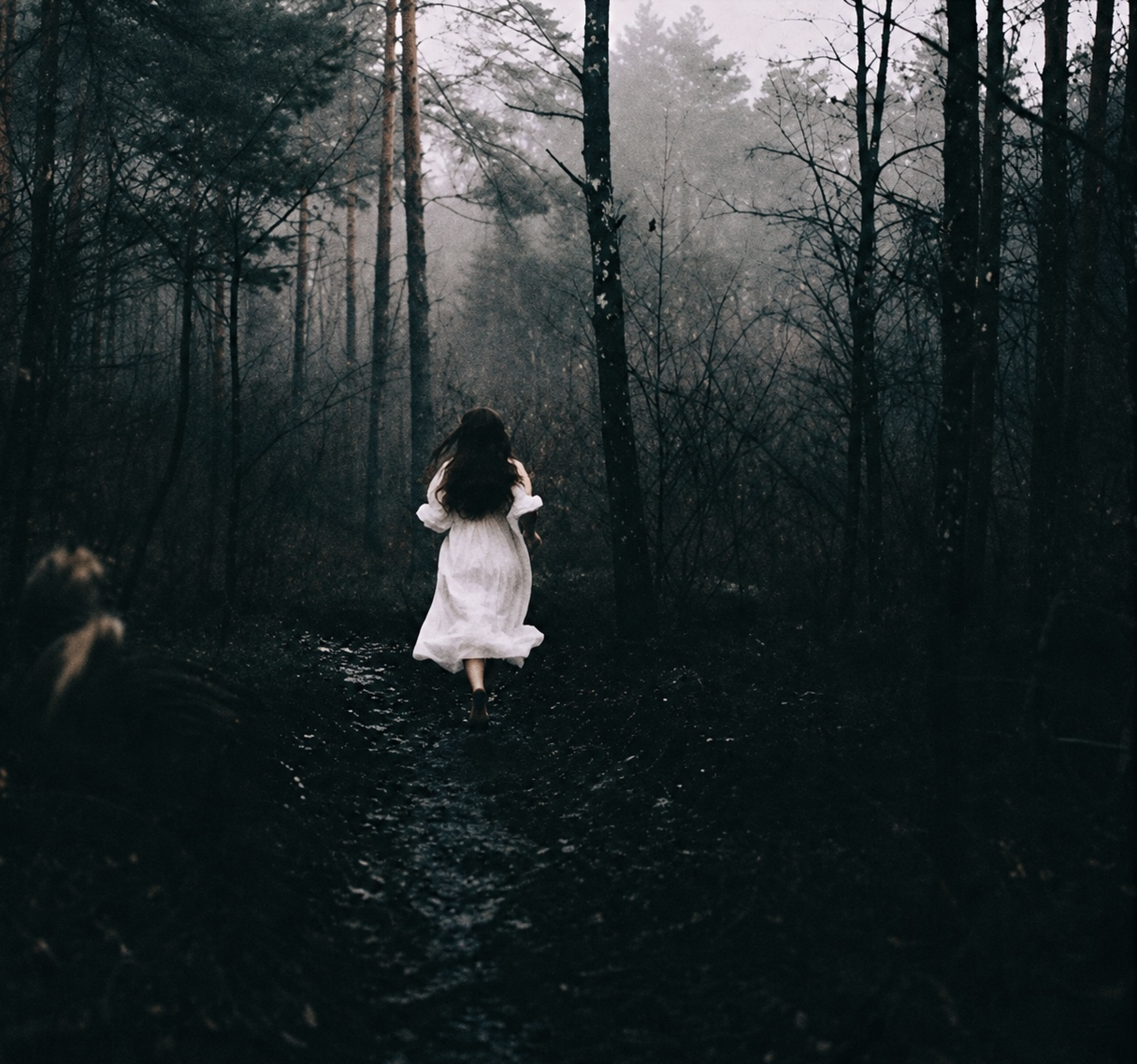 Bild einer Frau in weißem Kleid in dunklem Wald
