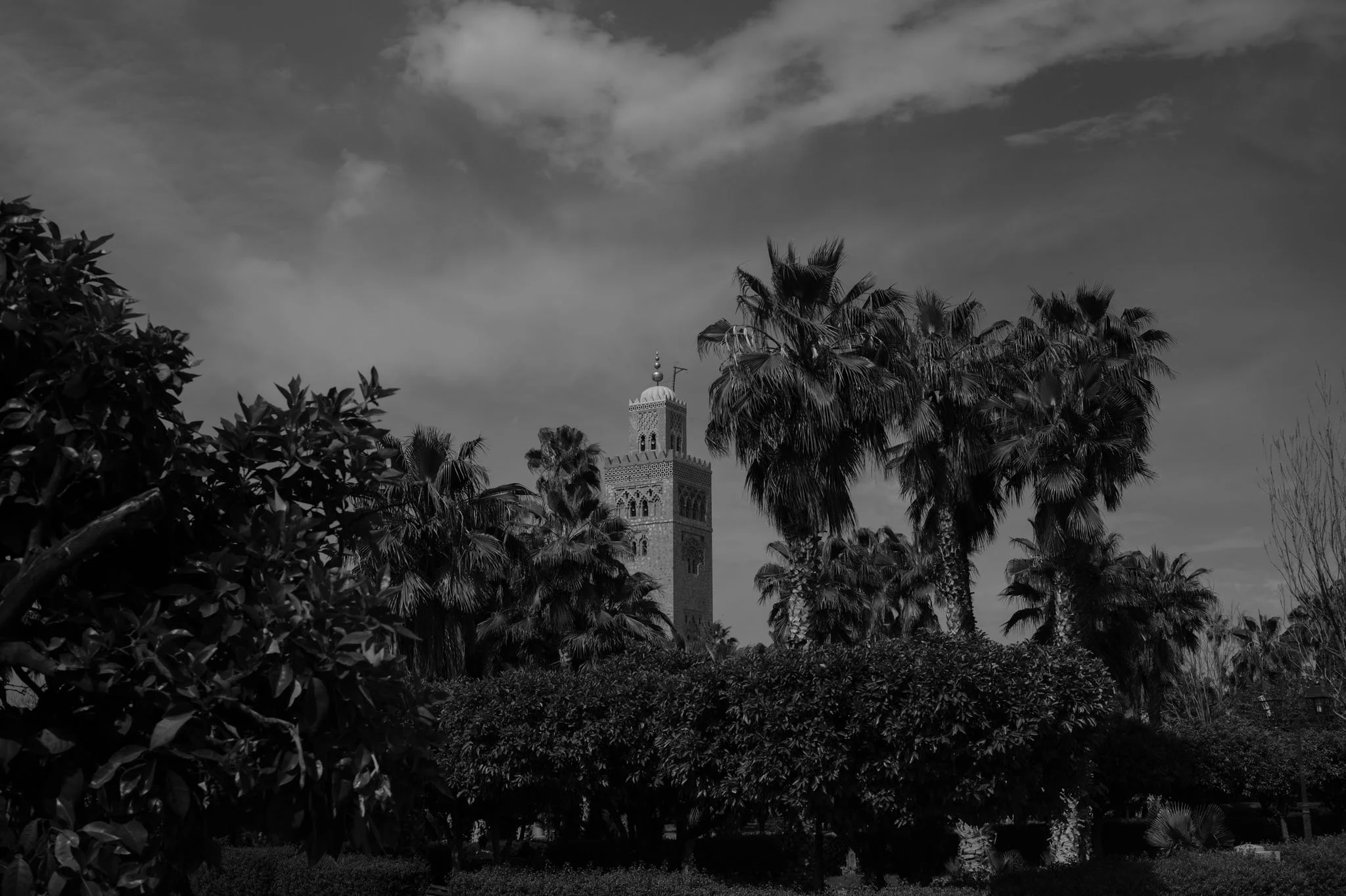 Marrakech, Marocco, 2025.