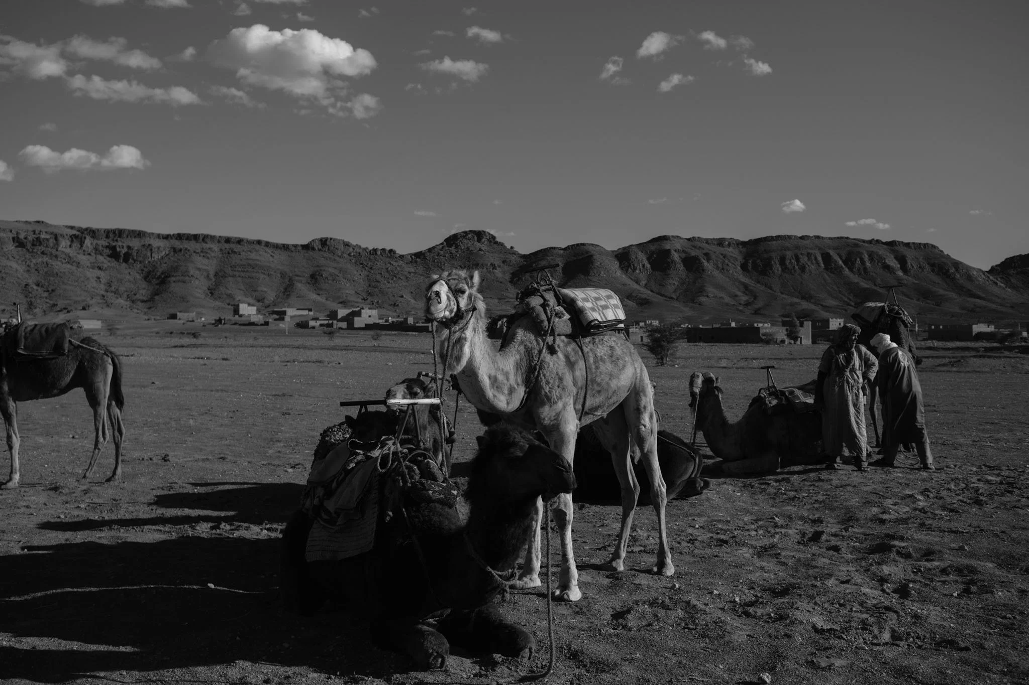 Zagora, Marocco, 2025.