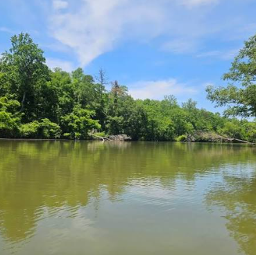A river with green trees on both banks under a partly cloudy blue sky.