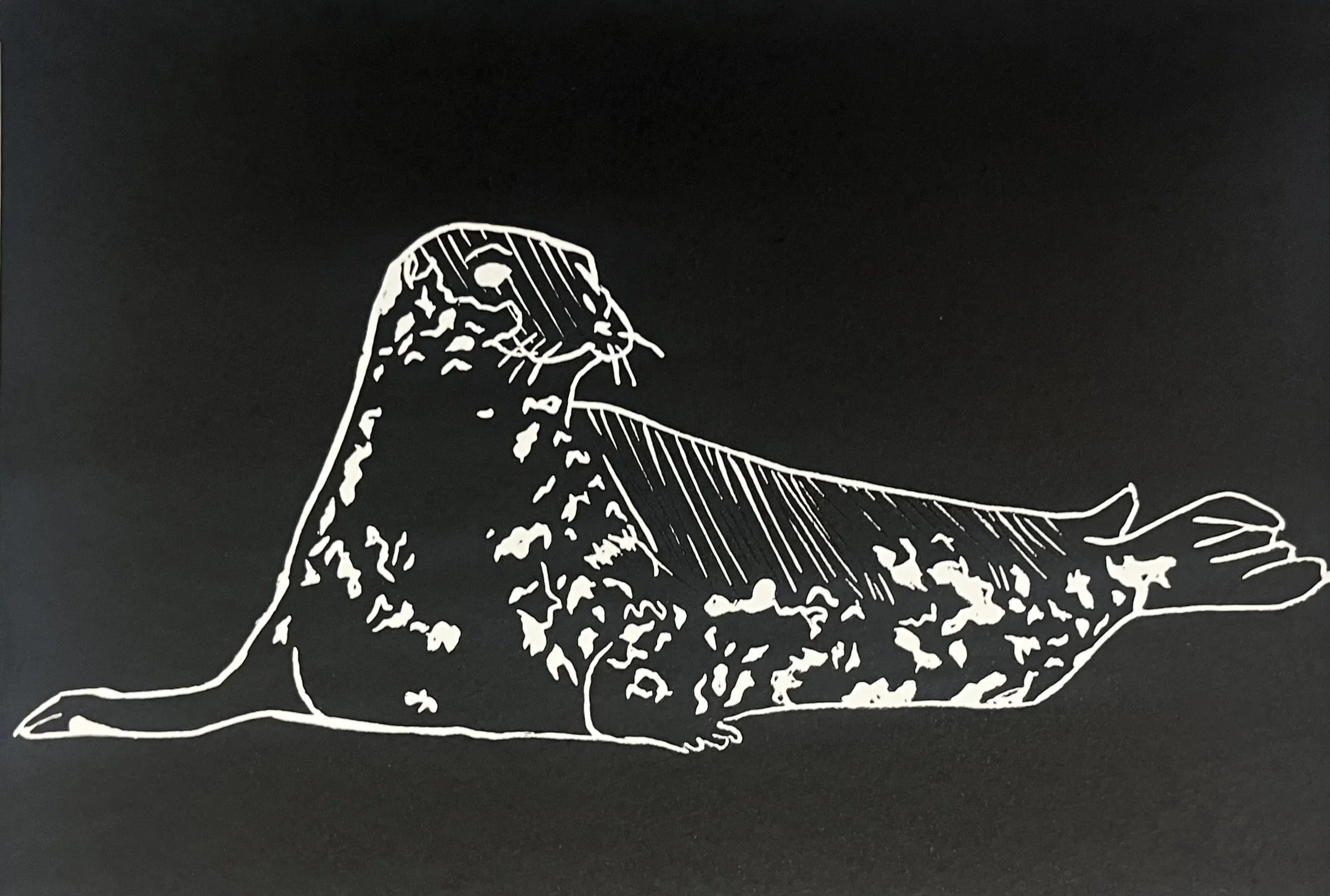 Lino print of a seal with a black background.
