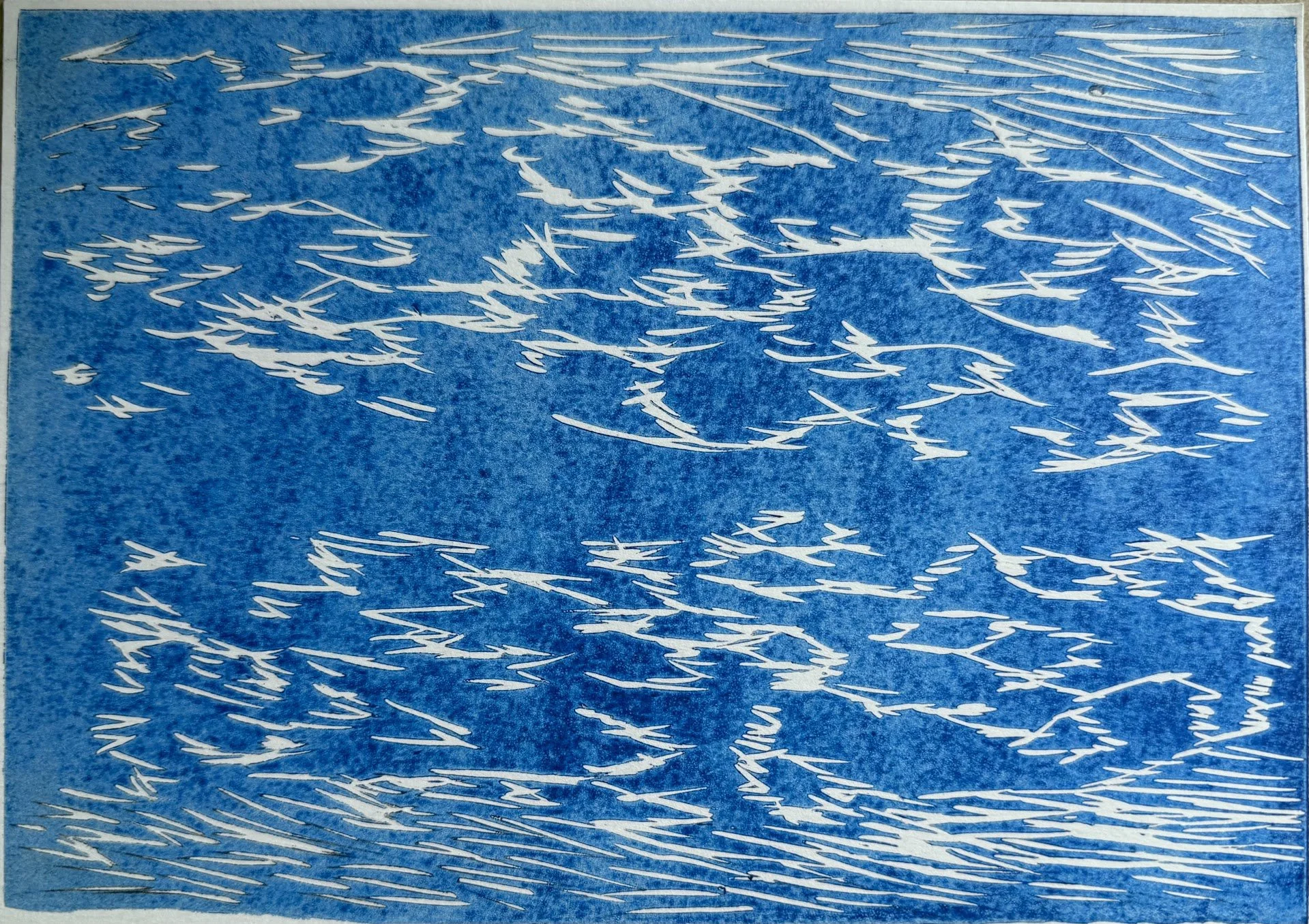 Seal Fur Texture Lino Misprint - Blue