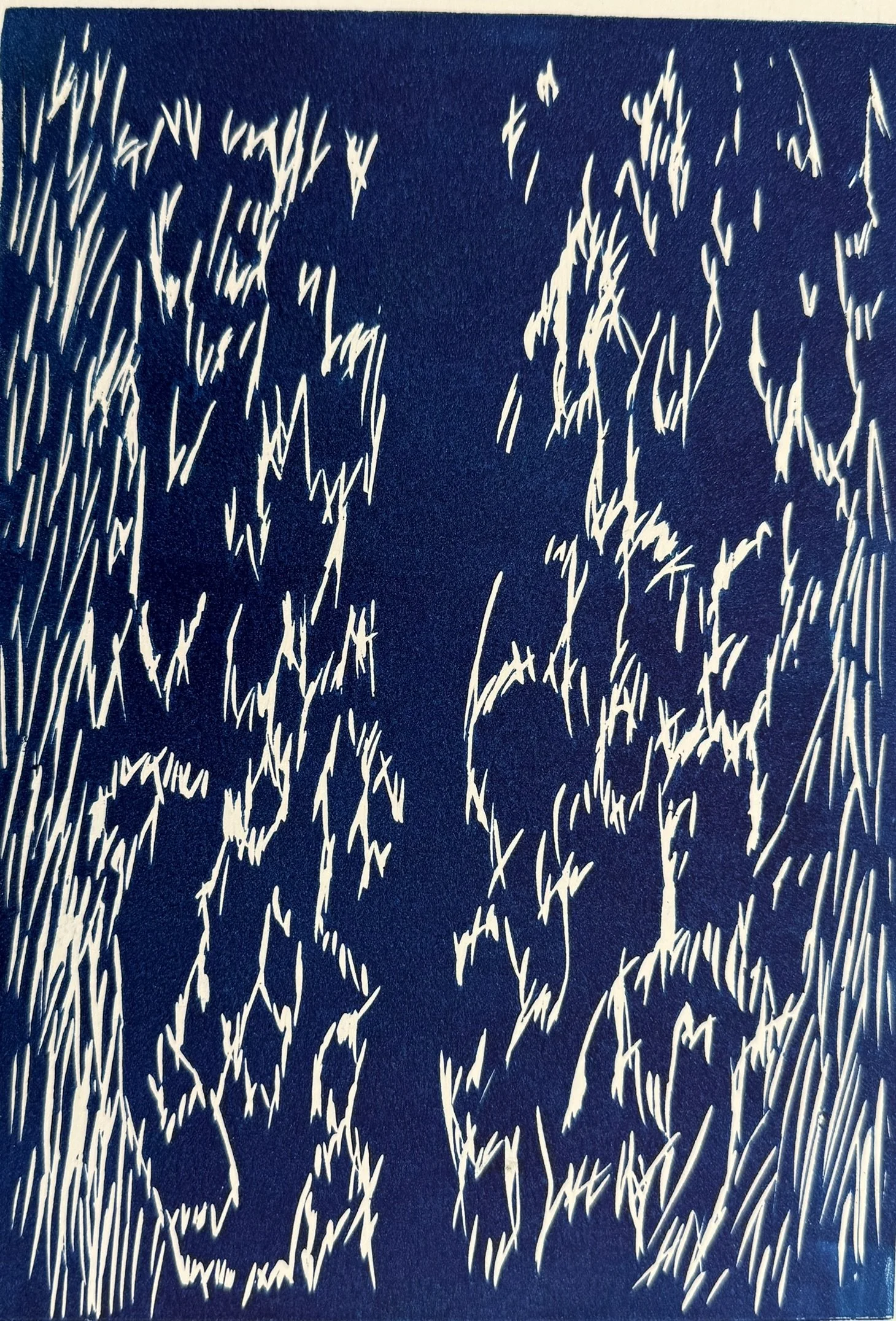 Seal Fur Texture Lino Print