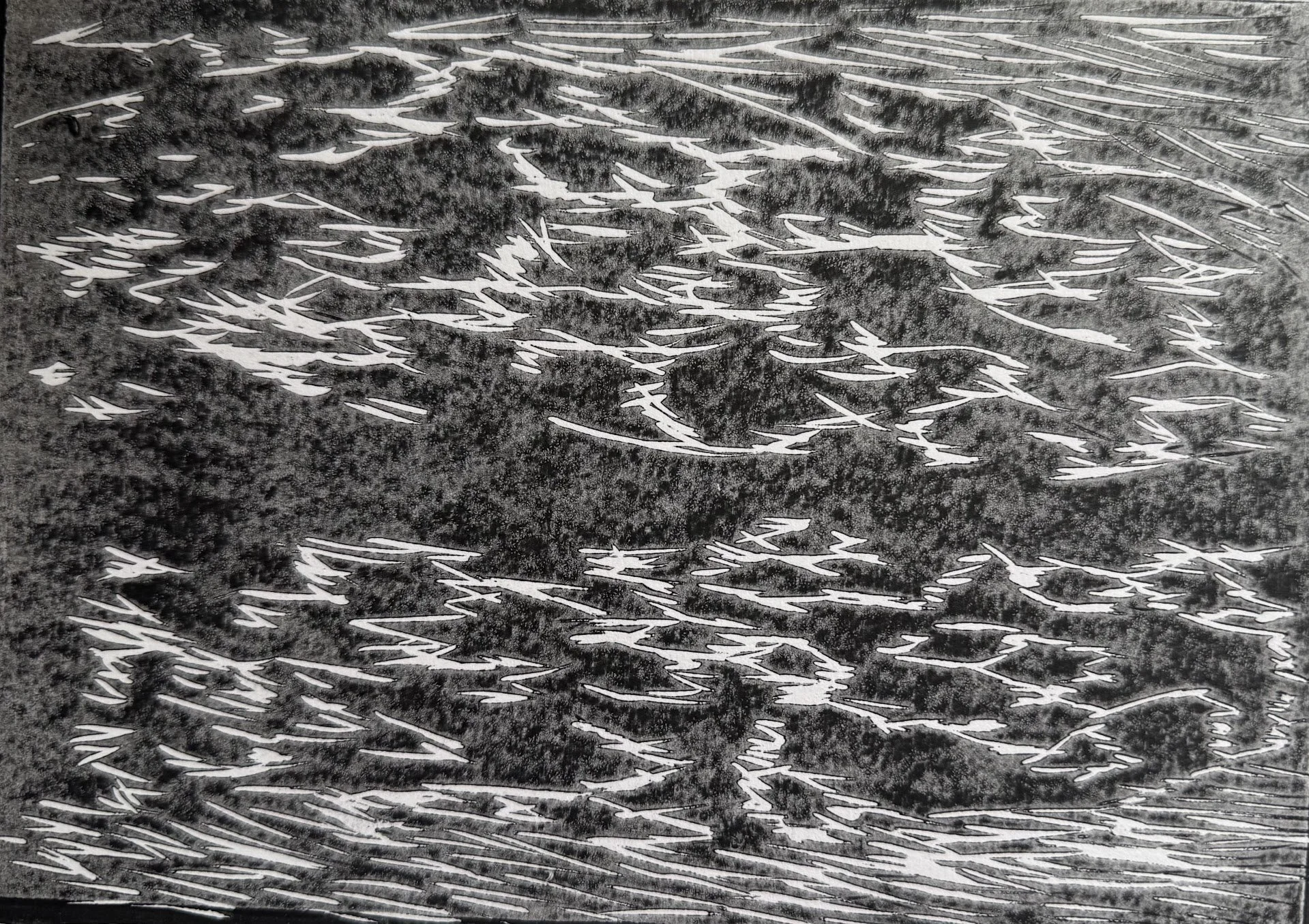 Seal Fur Texture Lino Misprint - Black