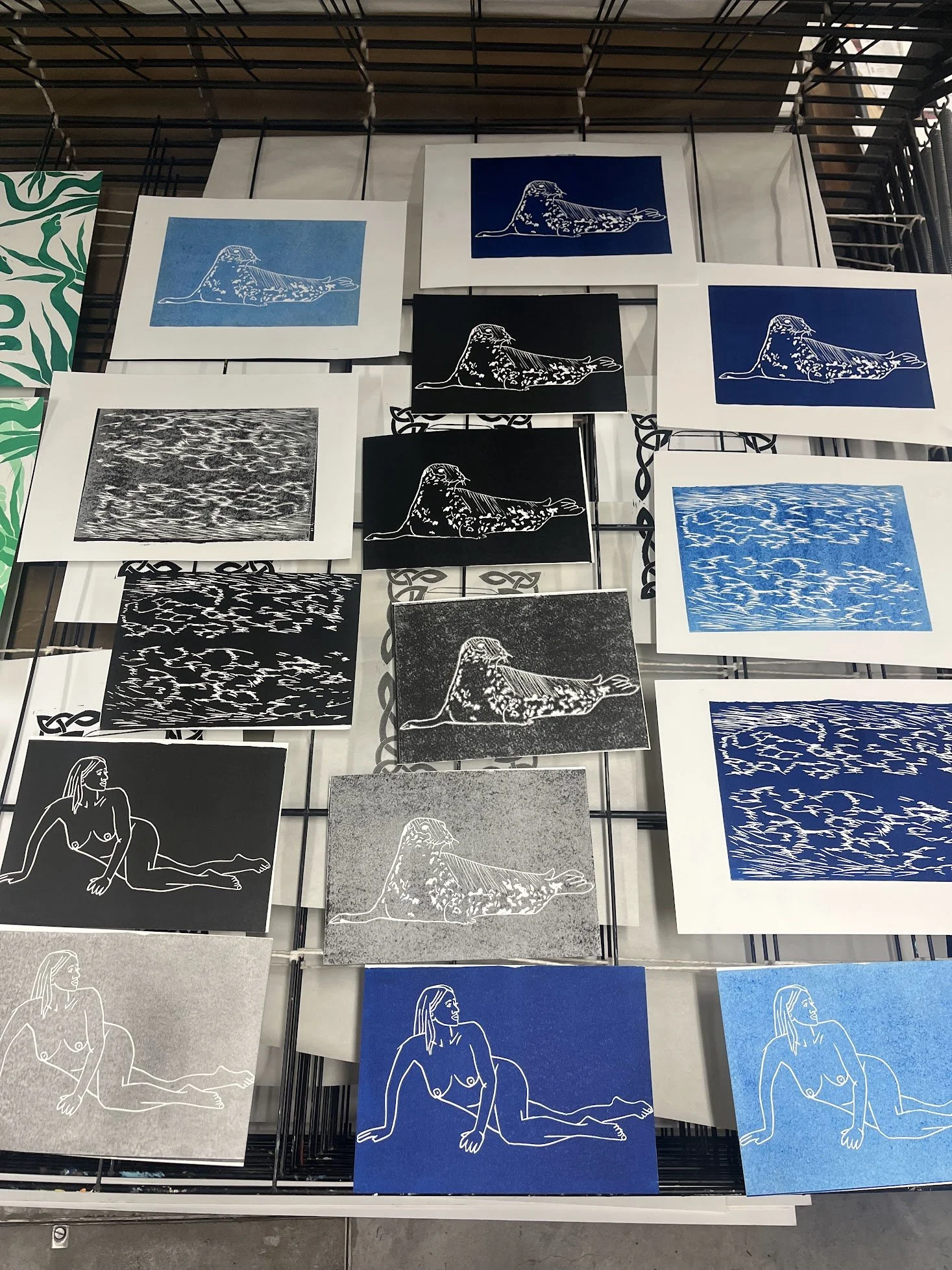 Collection of lino prints in various styles including line drawings of a reclining woman, stylized seal and textured black and white fir textures, displayed on a drying rack.