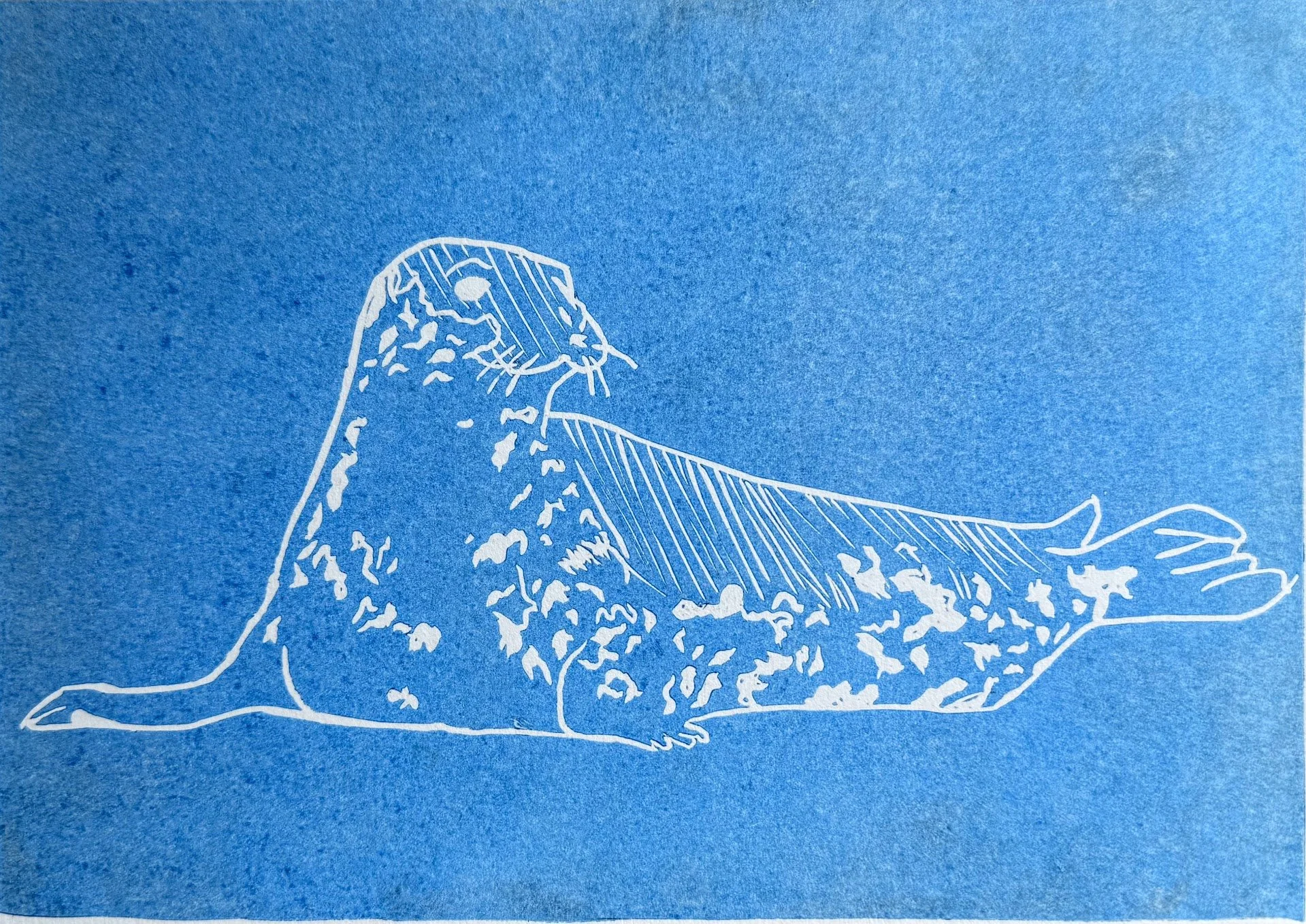 Seal Lino Misprint- Blue